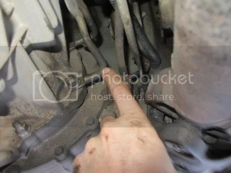IMG_0804_zps6fcda1eb.webp