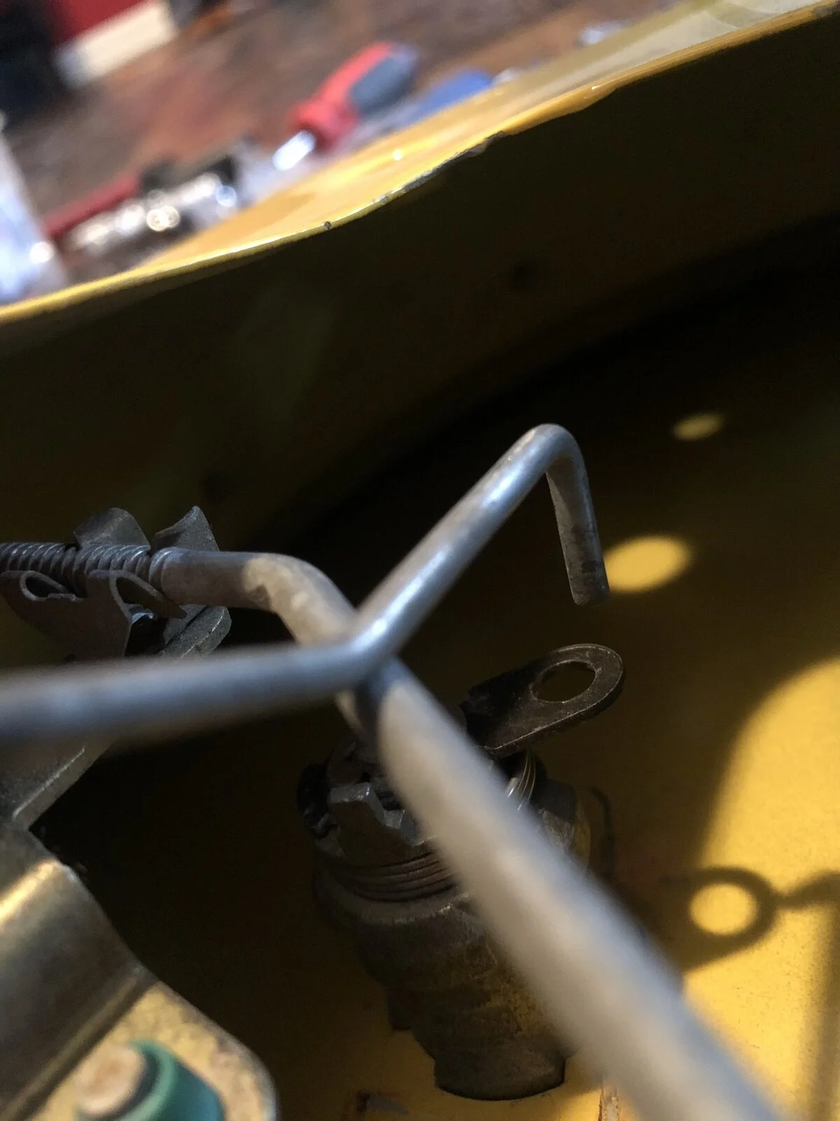 IMG_1165.JPEG