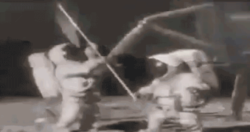 IMG_1233.gif