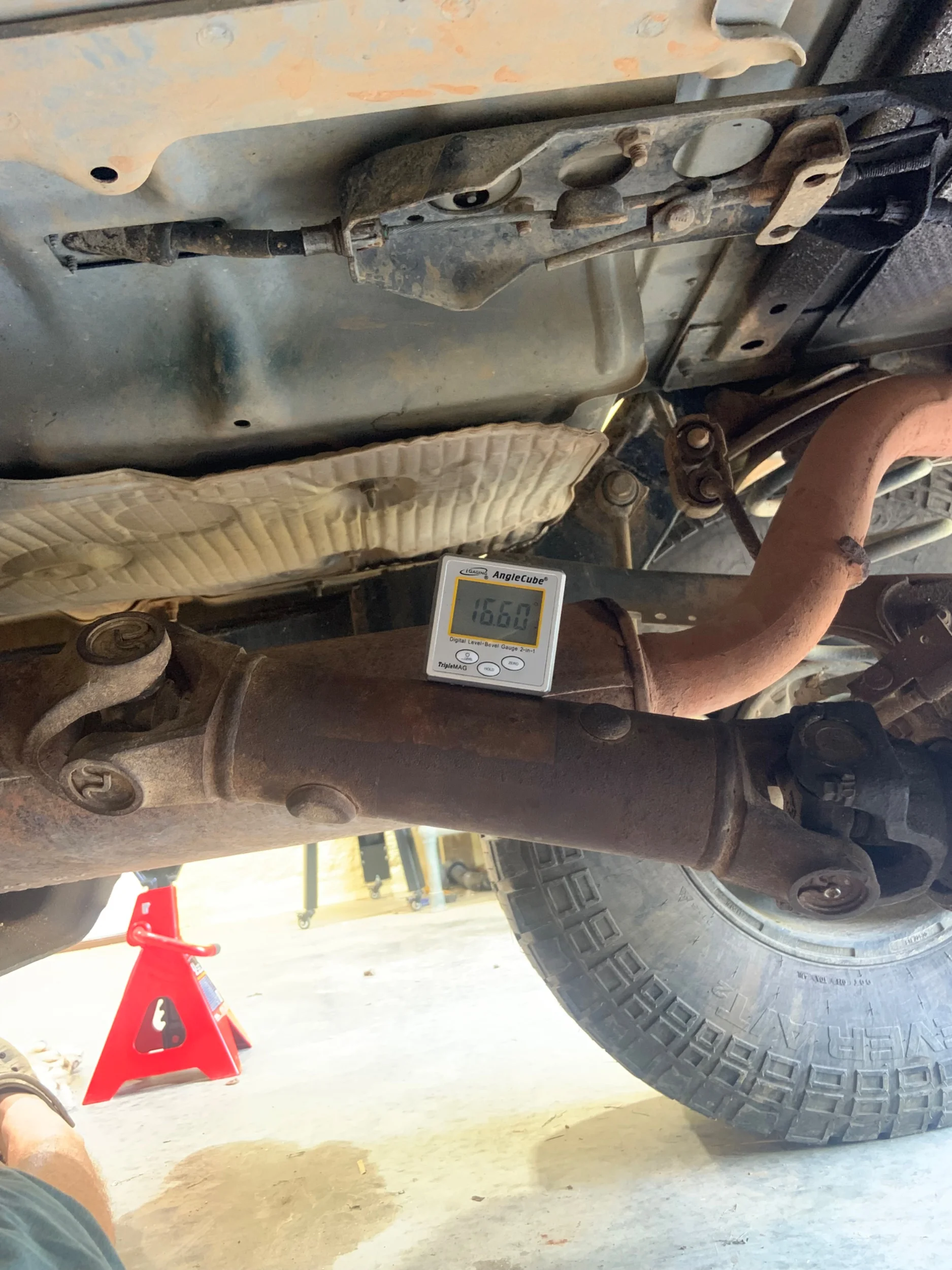 IMG_1400.webp