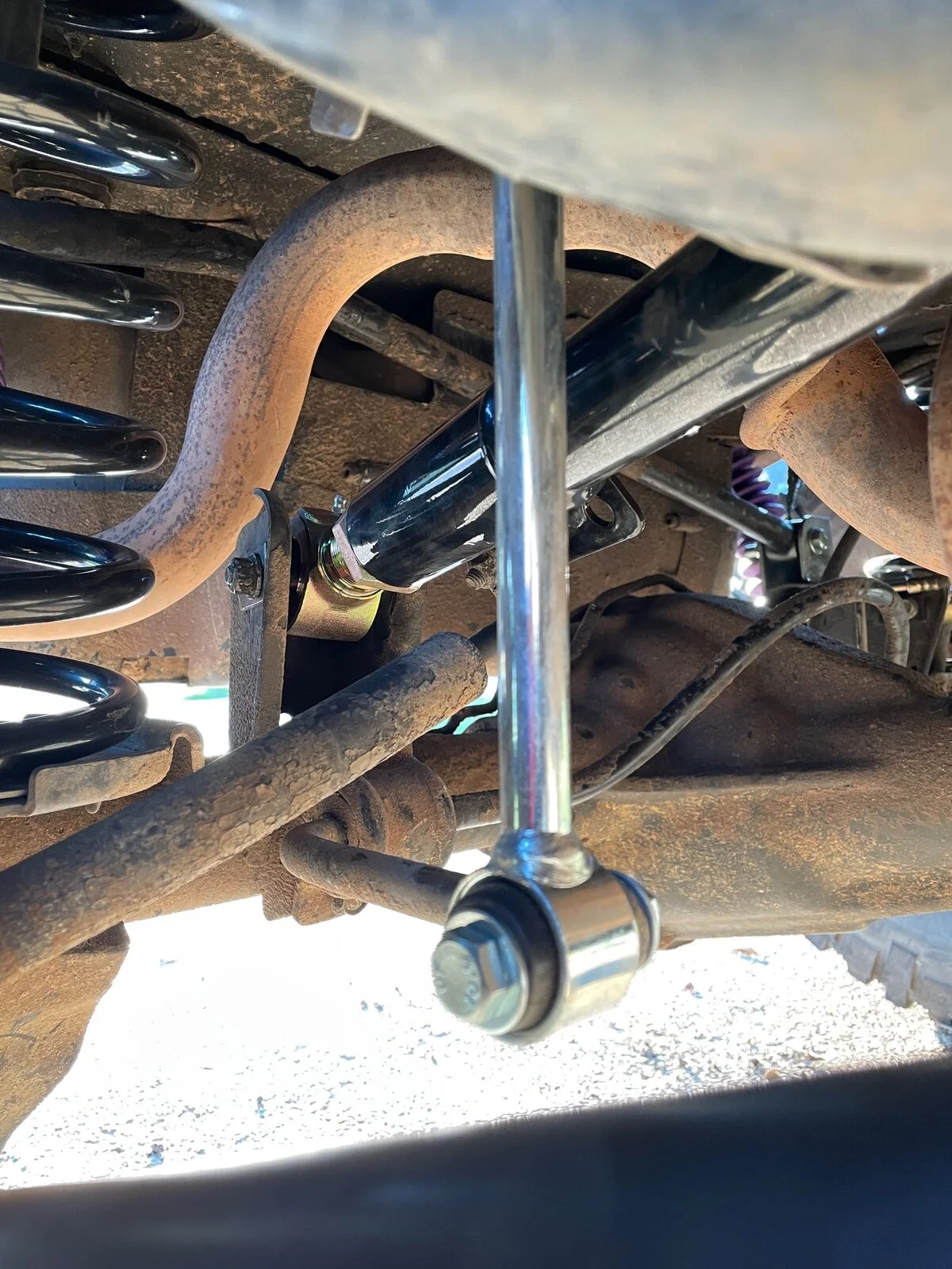 IMG_1483.webp