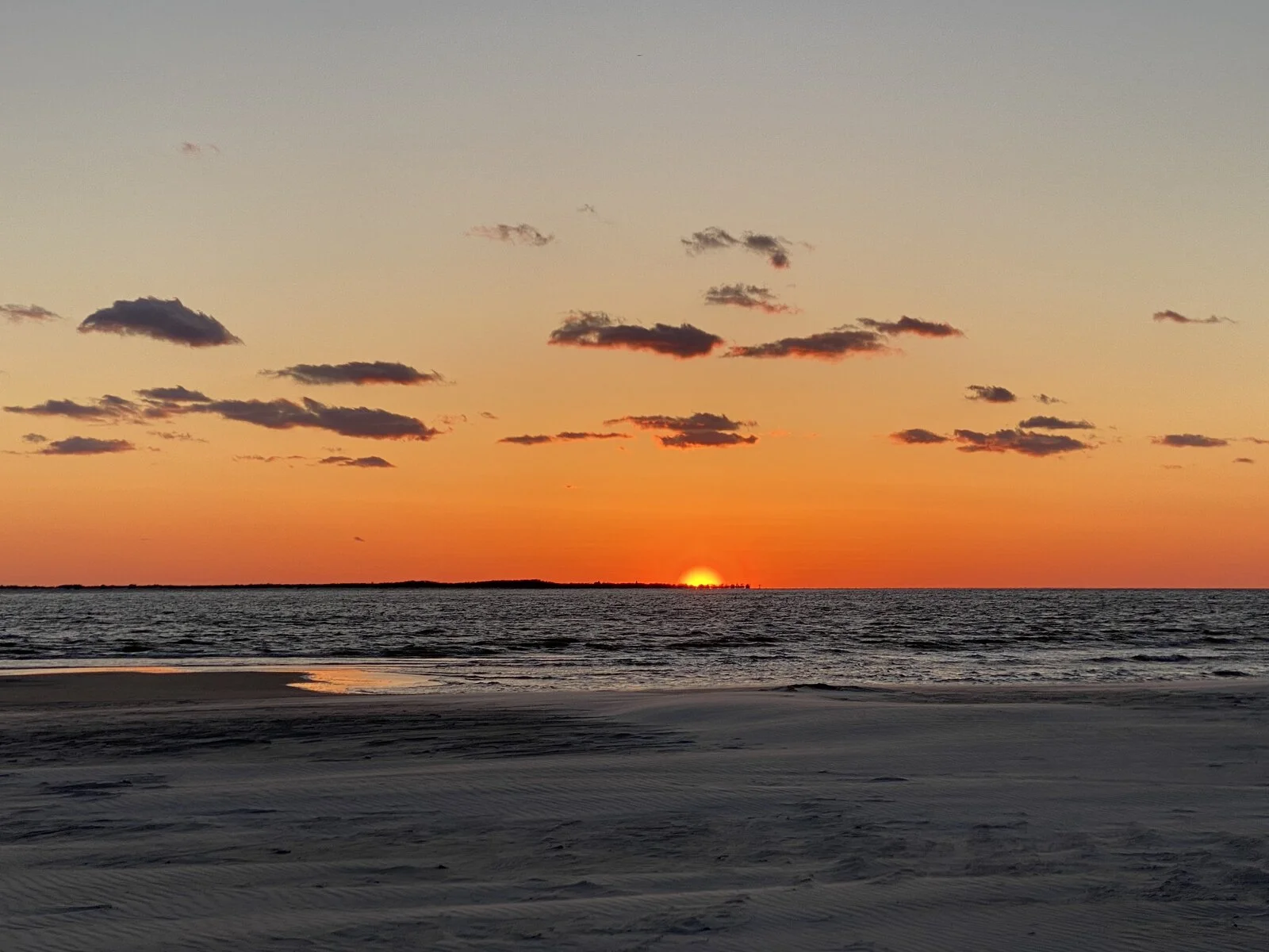 IMG_1554.webp