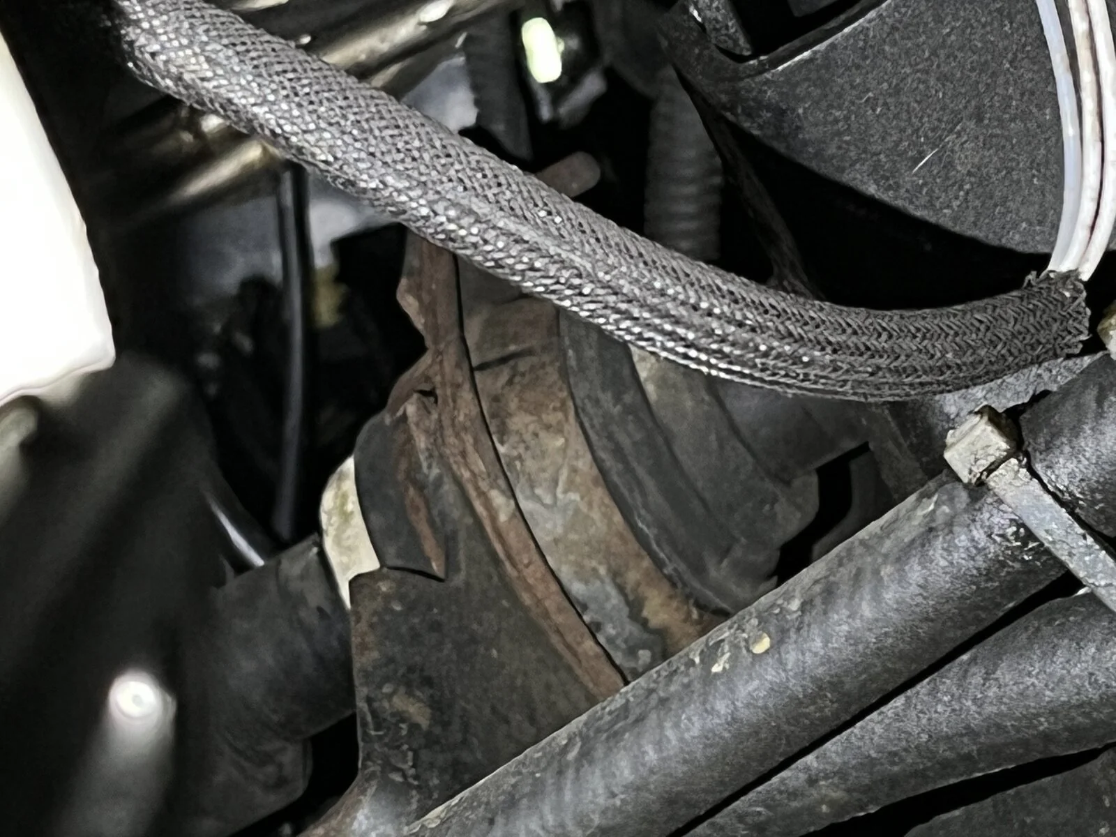 IMG_1787.webp