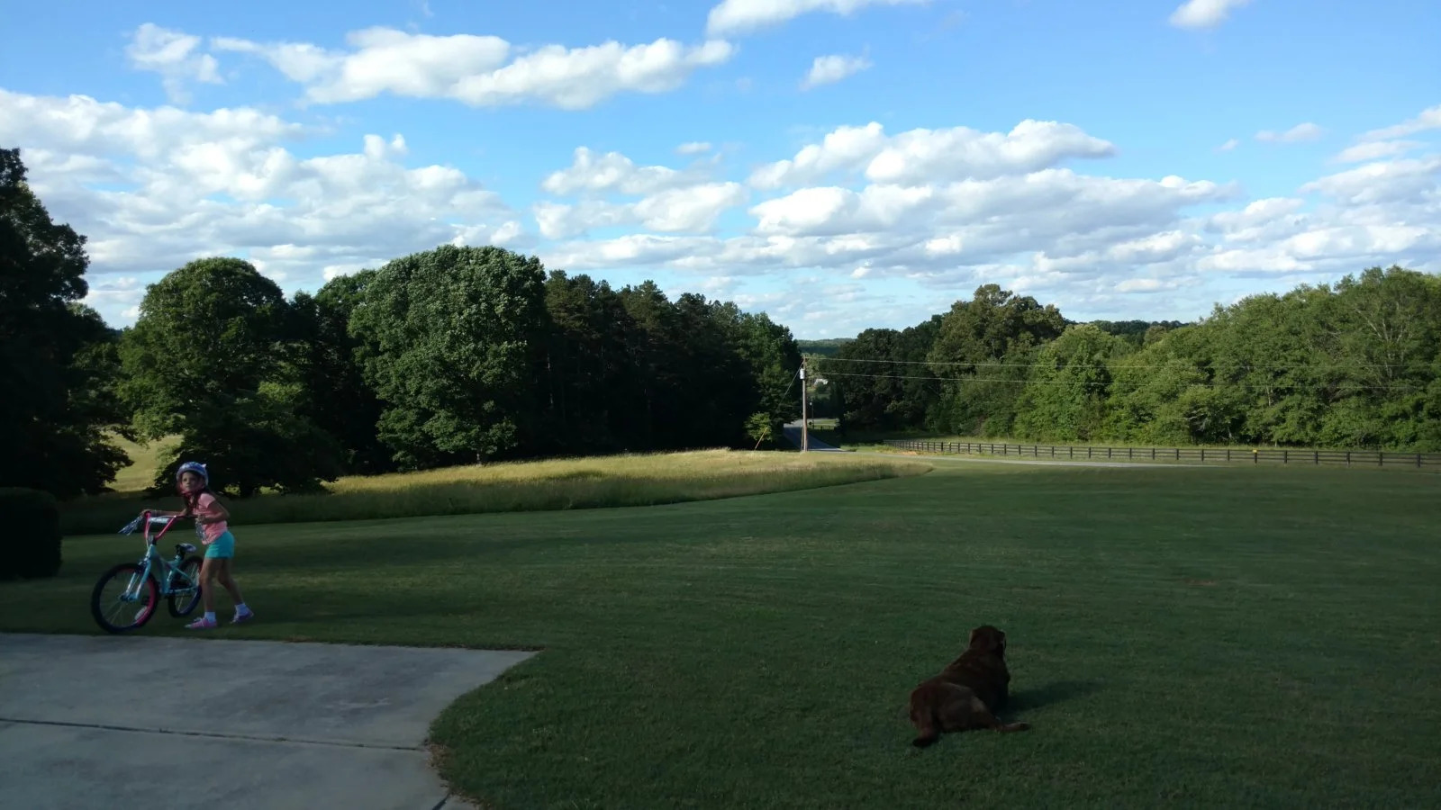 IMG_20170525_181959954.webp