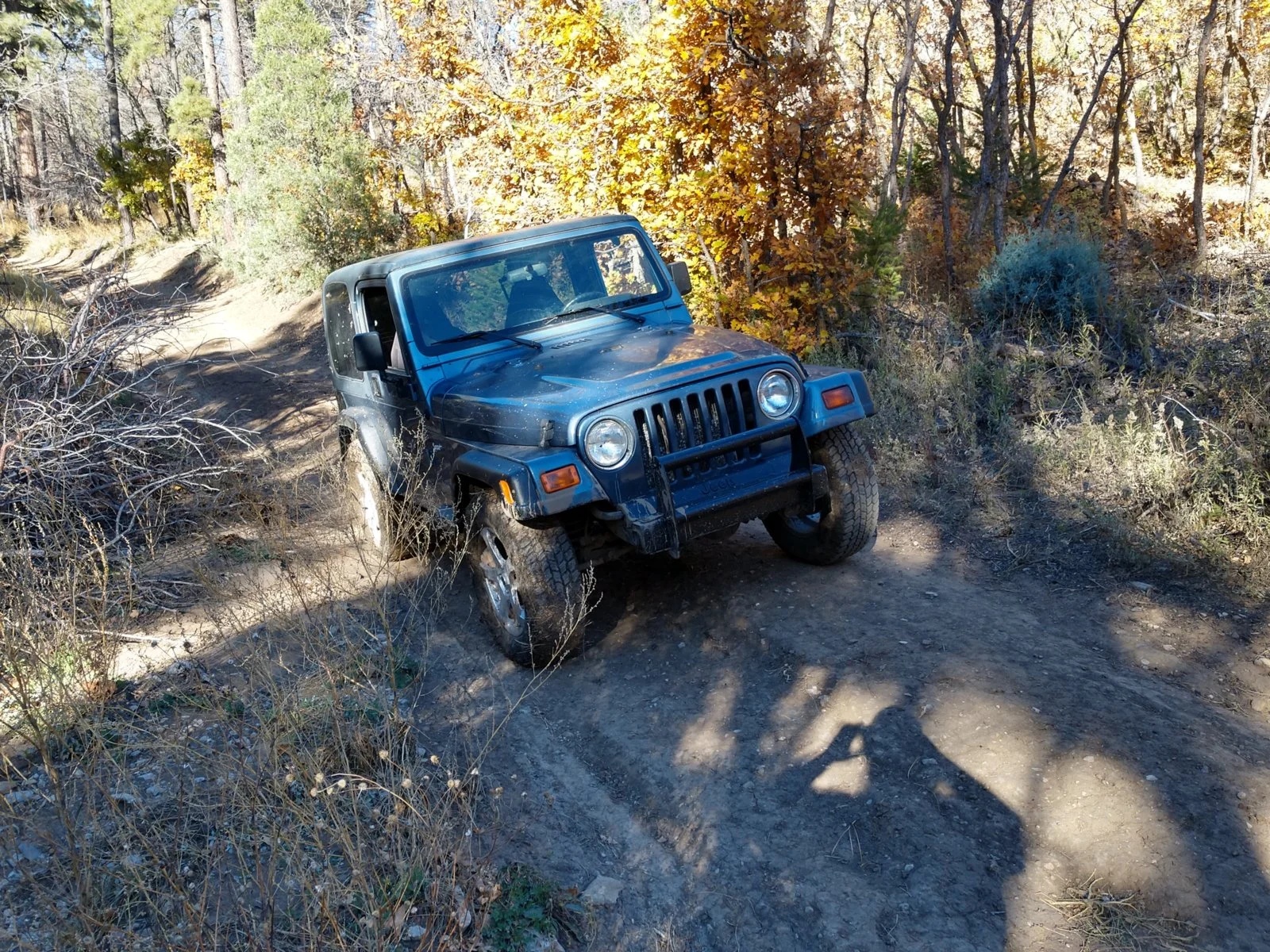 IMG_20171023_161859437_HDR.webp