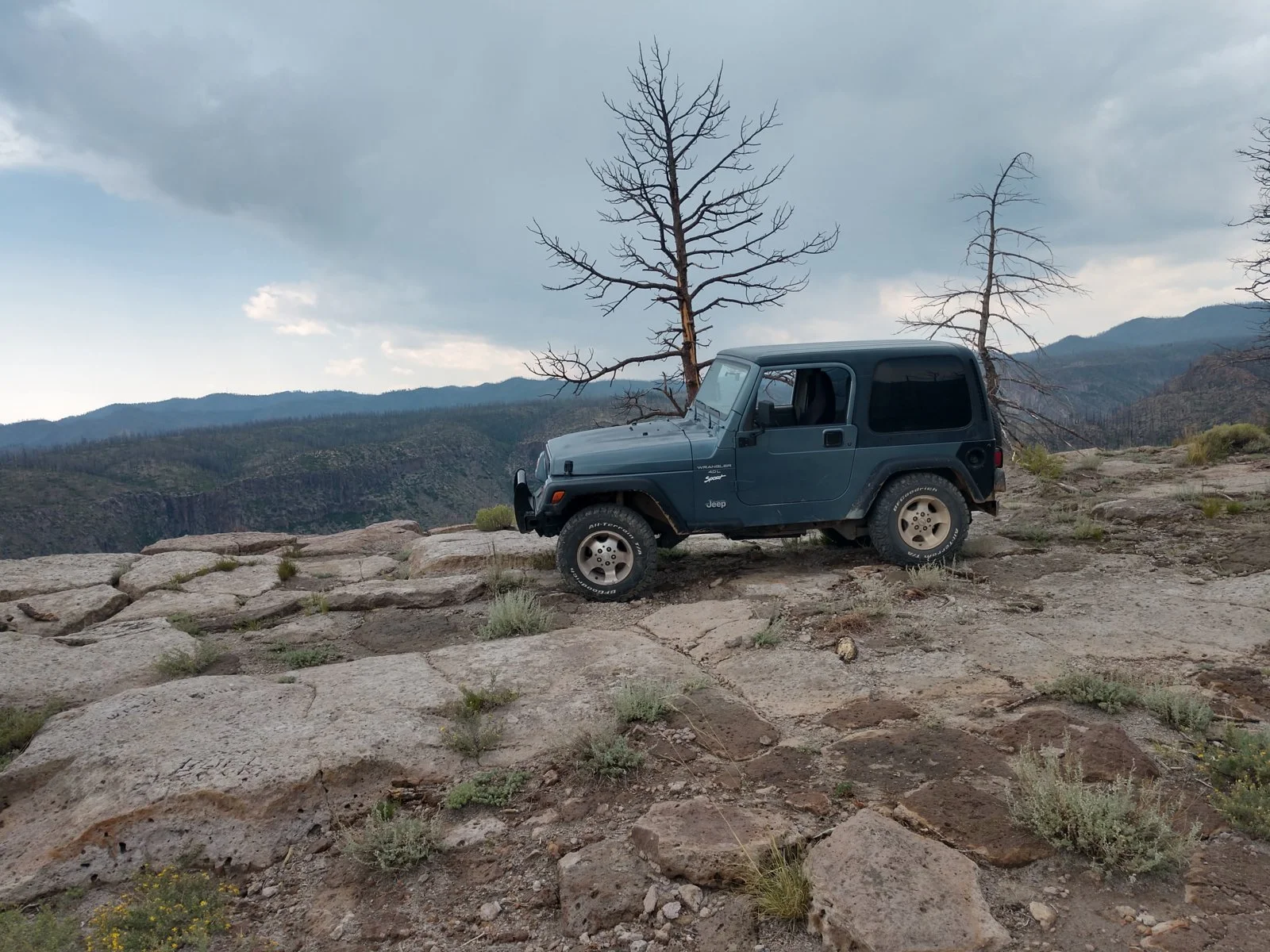 IMG_20180802_140701872_HDR.webp