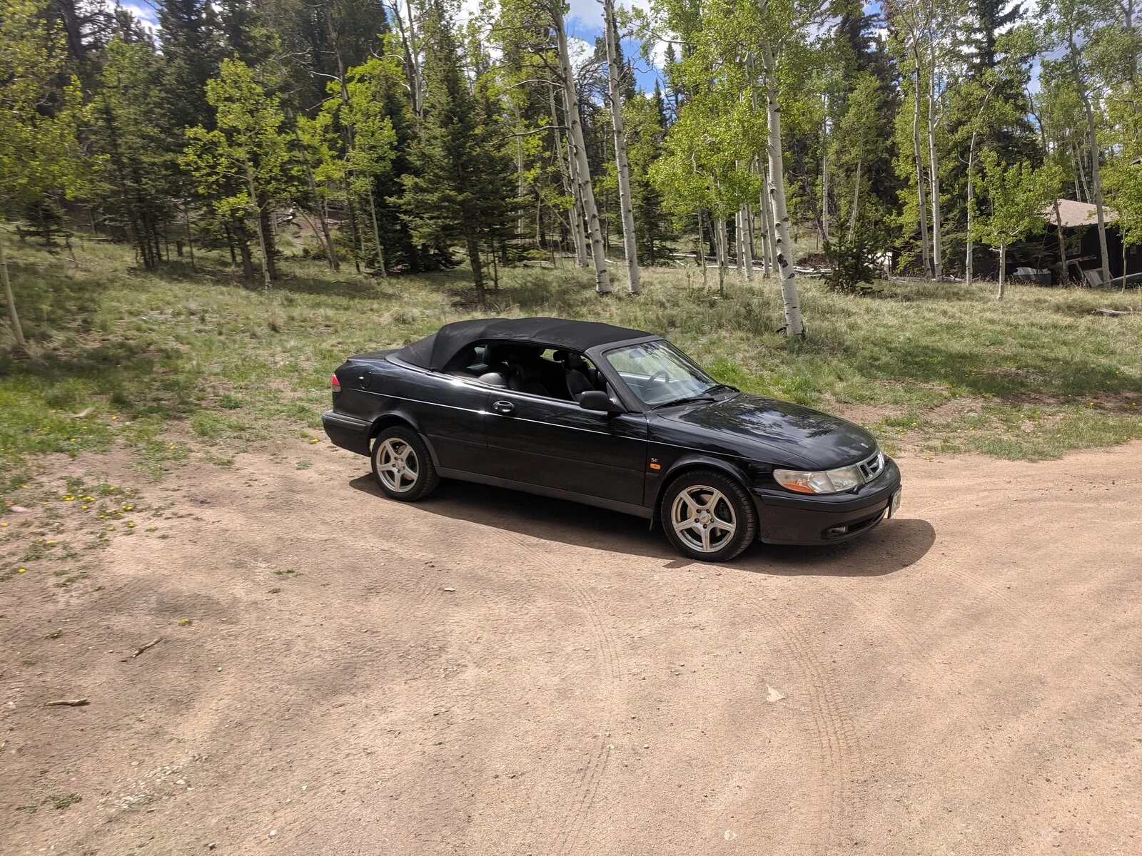 IMG_20190616_111648.webp