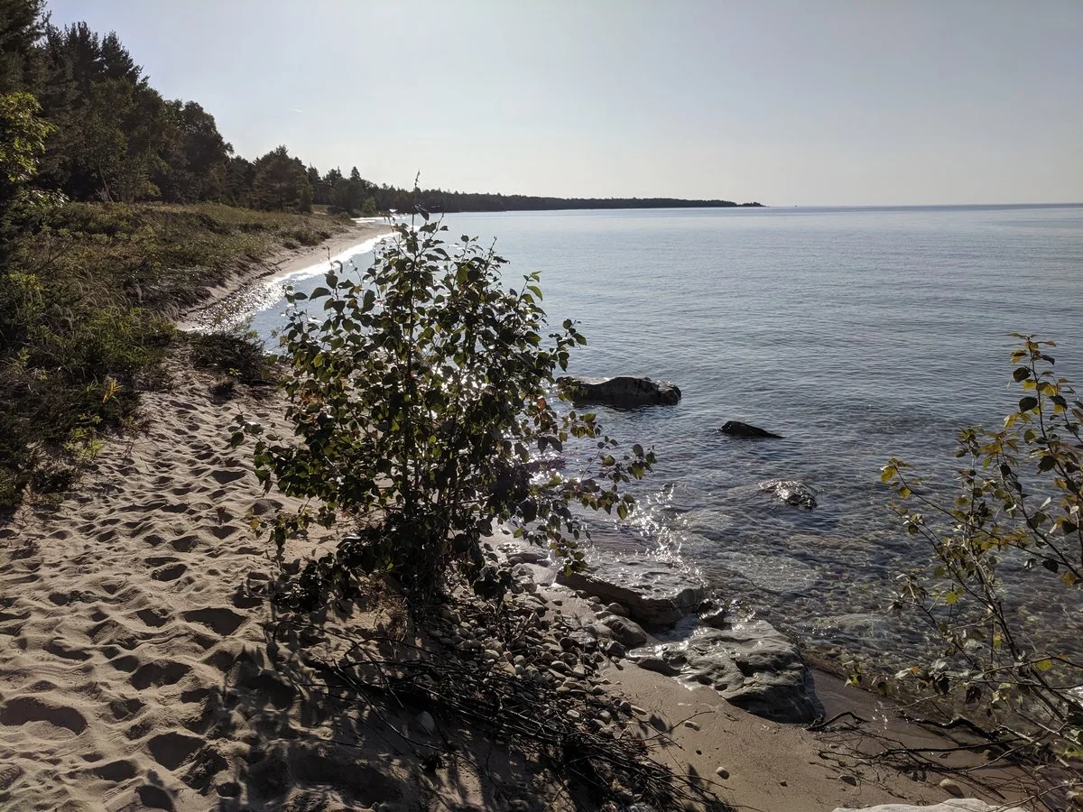IMG_20190824_090238.jpg