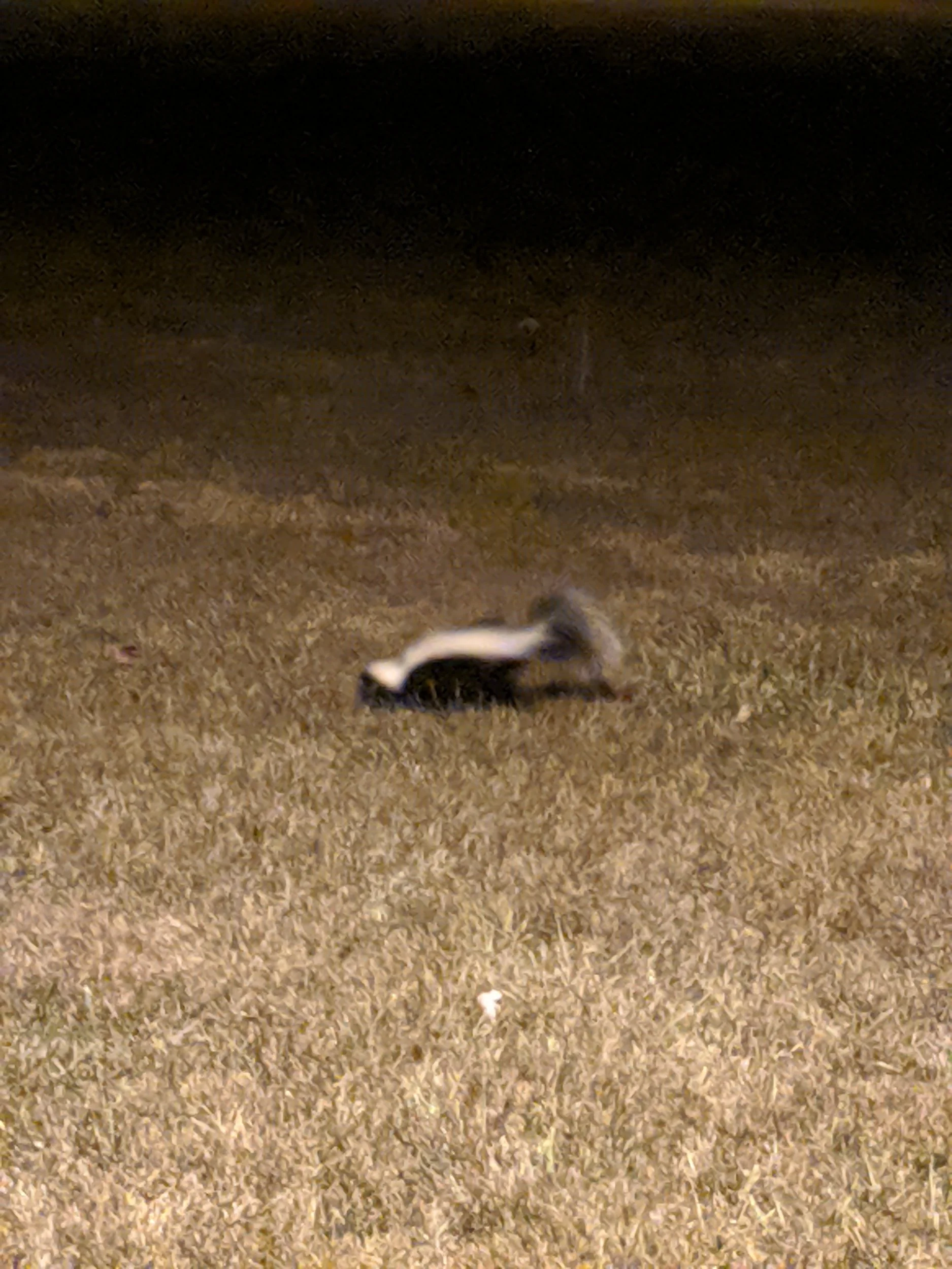 IMG_20191019_210540.webp