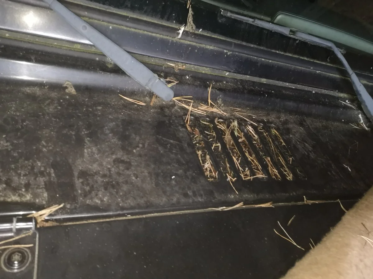IMG_20191119_154900.webp