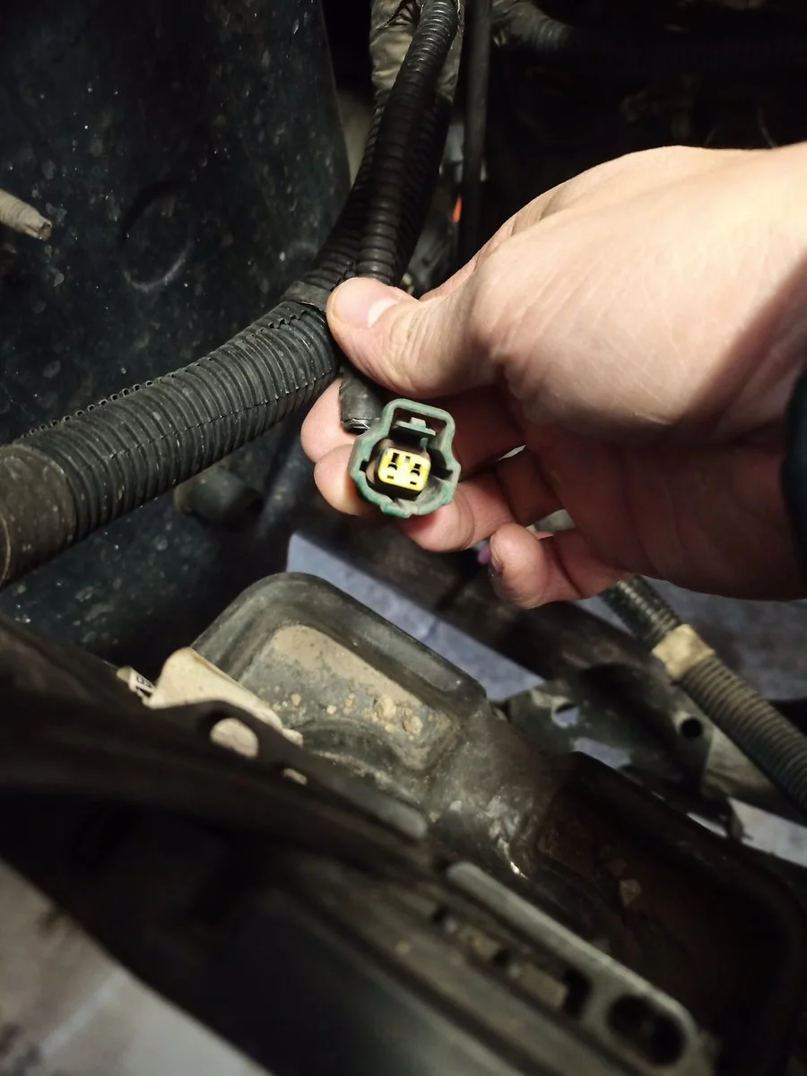 IMG_20200119_133448_9.webp