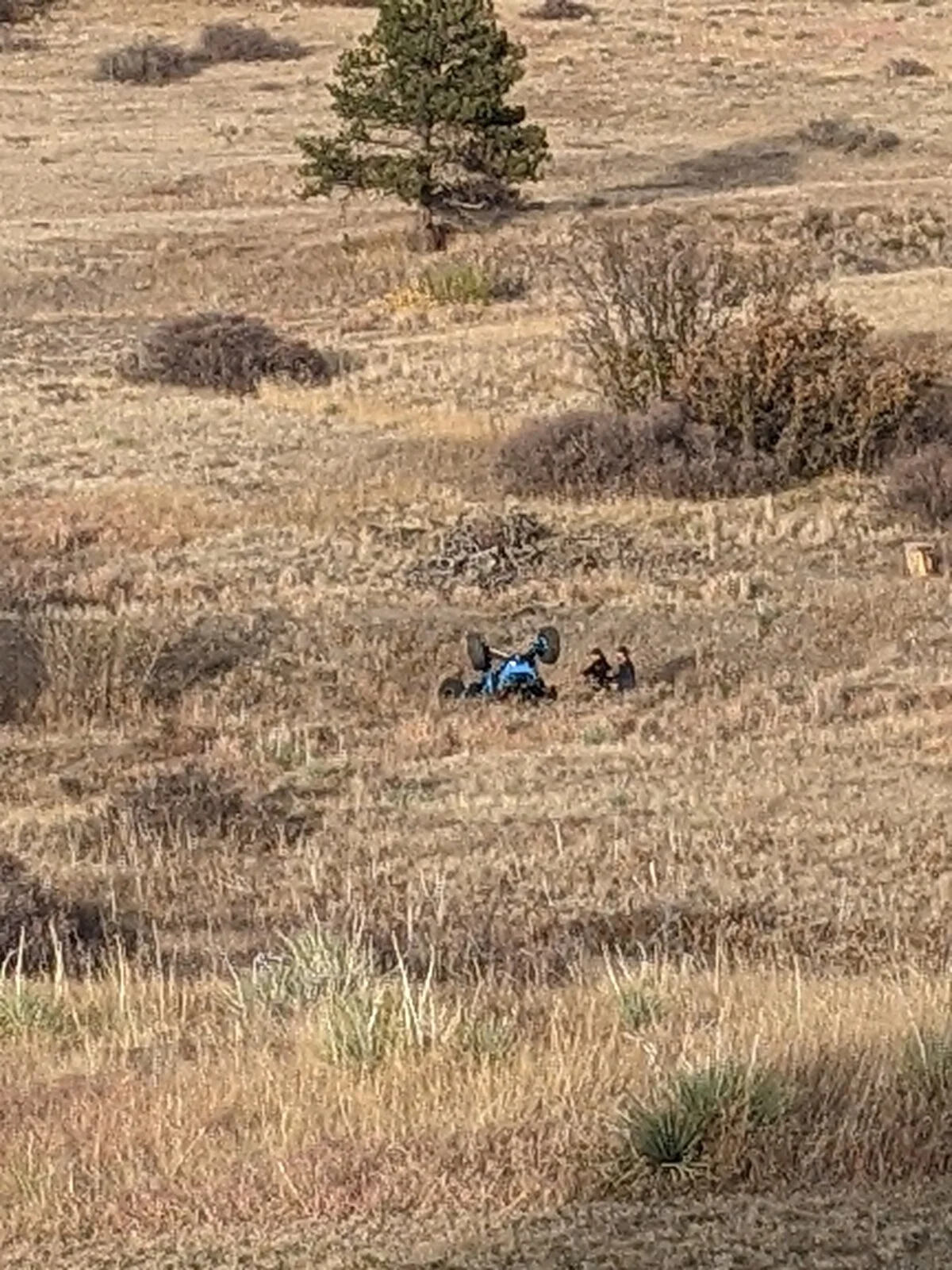 IMG_20201018_190412.webp