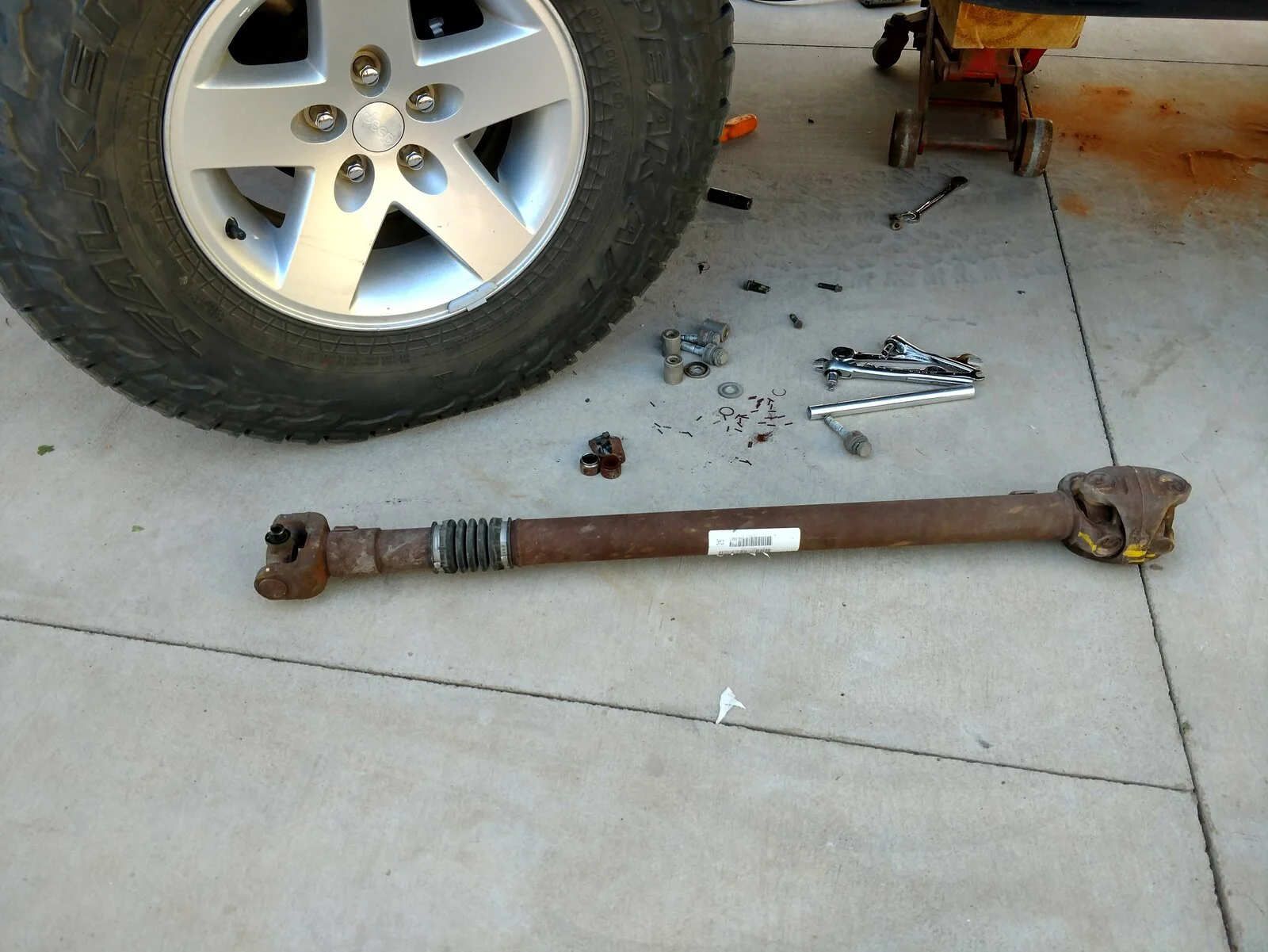 IMG_20201105_132356153_HDR.webp