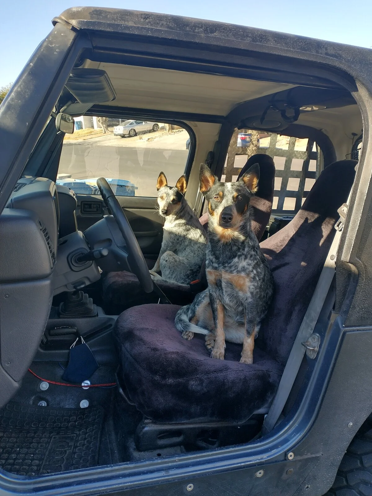 IMG_20201222_123308712_HDR.webp