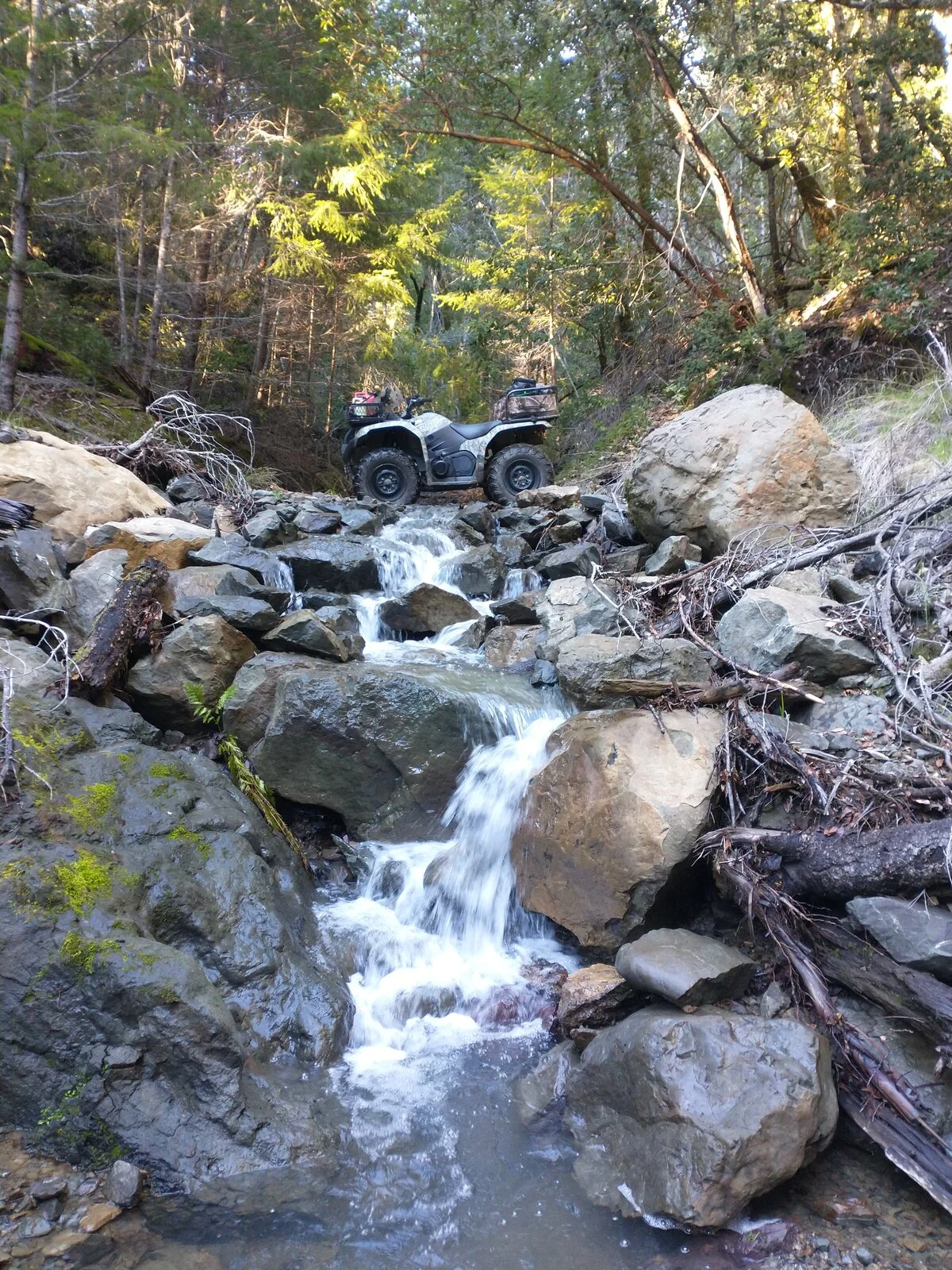 IMG_20220101_150321088.webp