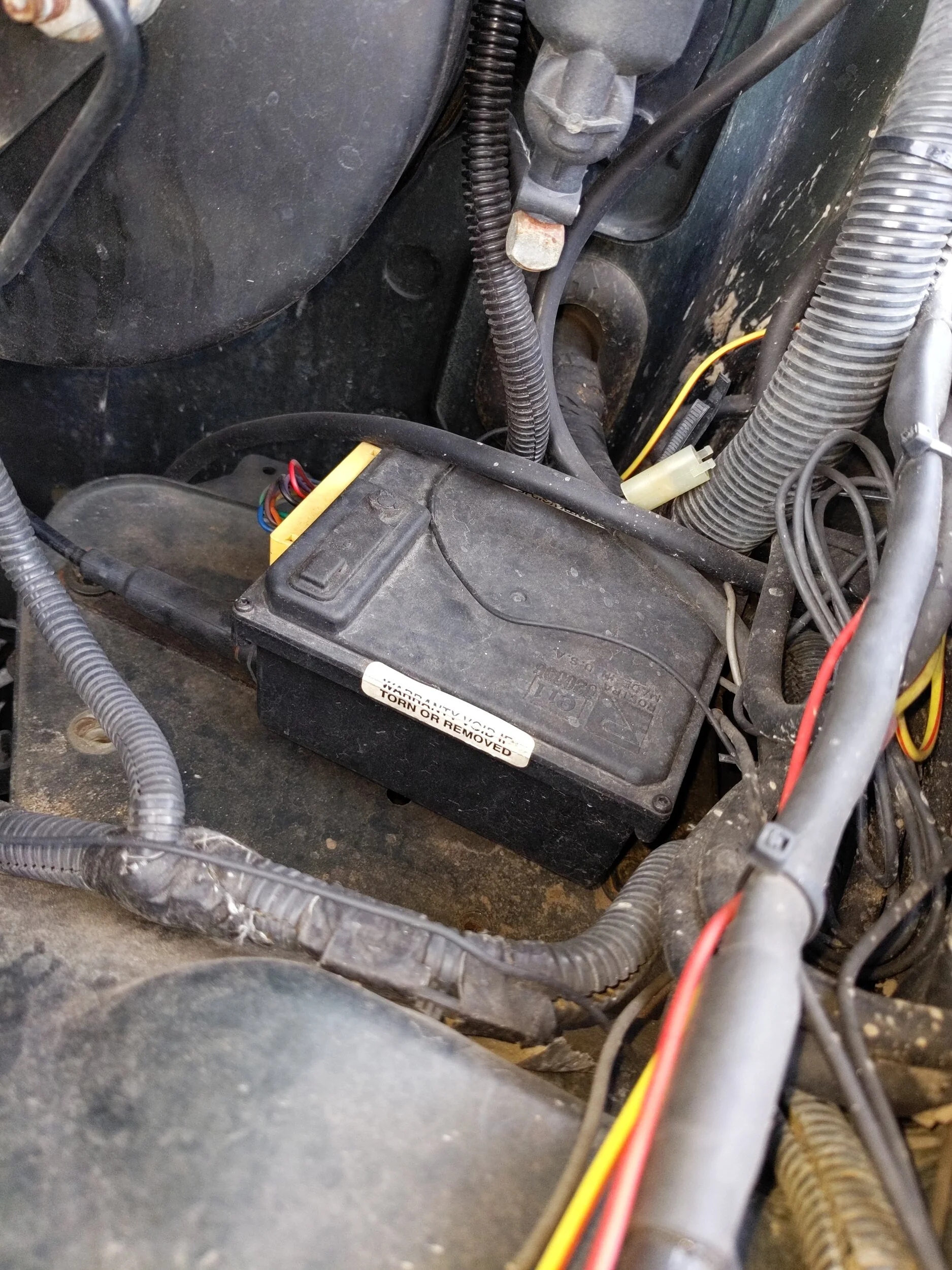 IMG_20231209_144419_627.webp
