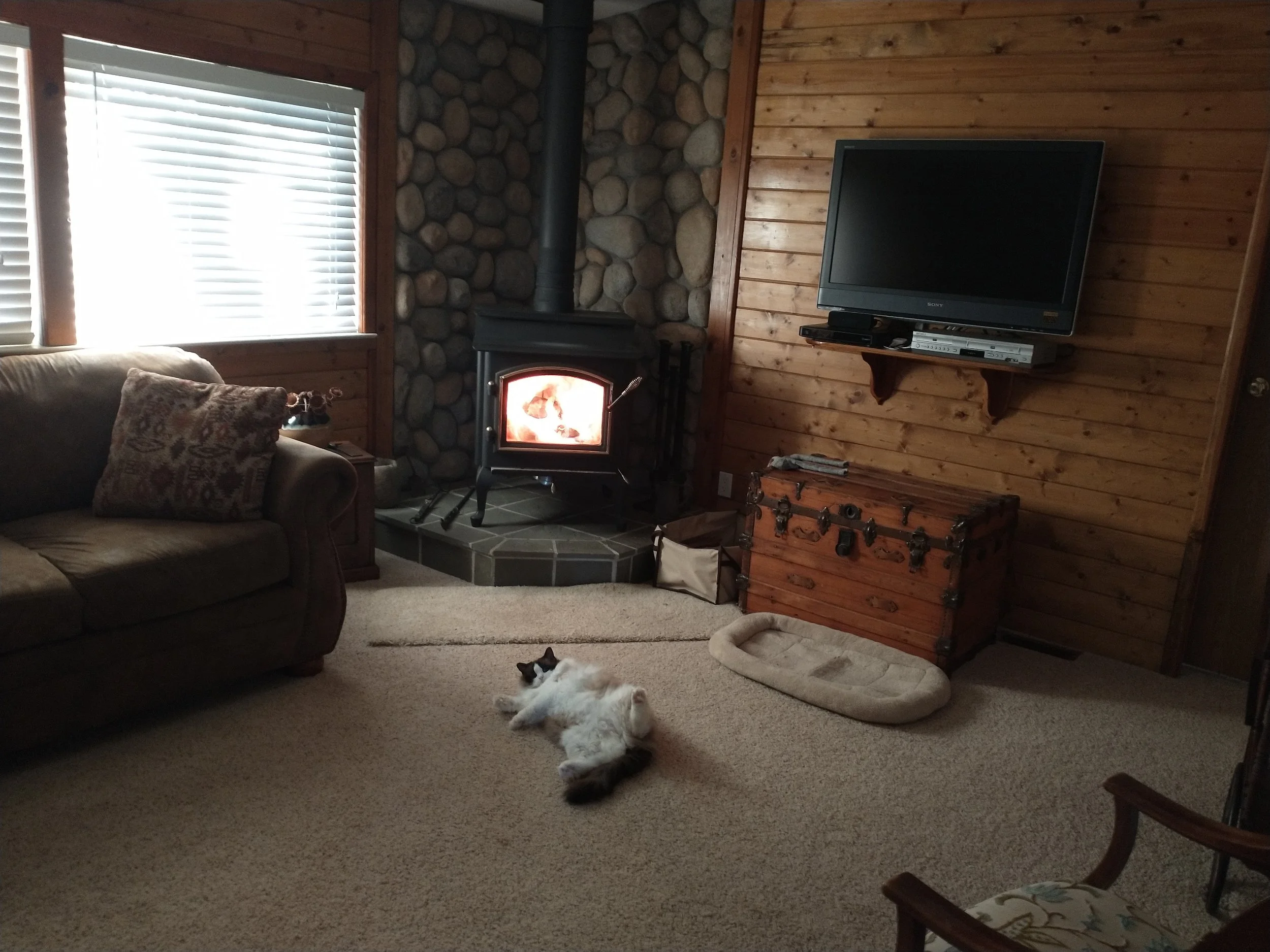 IMG_20240114_080126370.webp