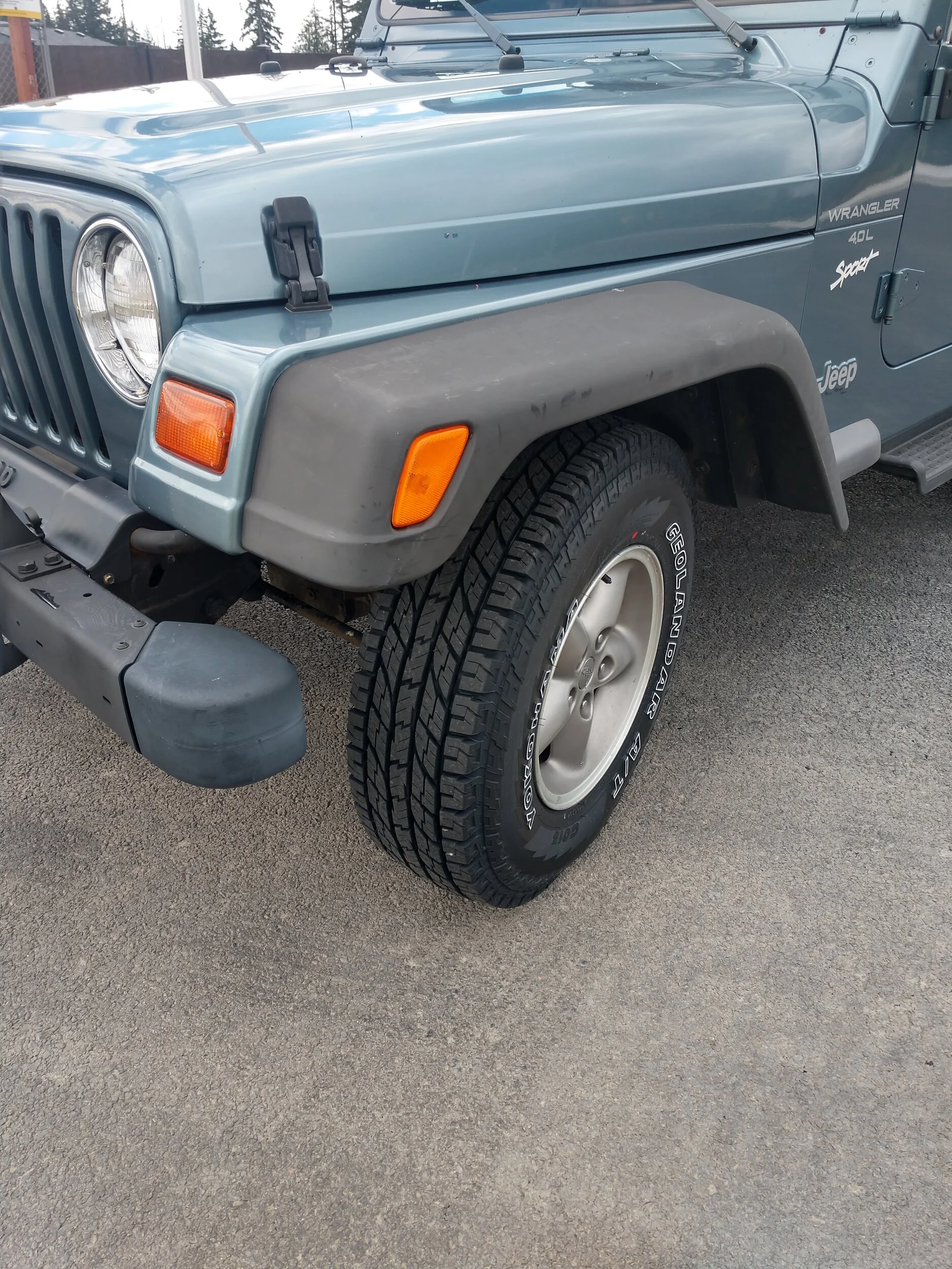 IMG_20240615_141928543_HDR.webp