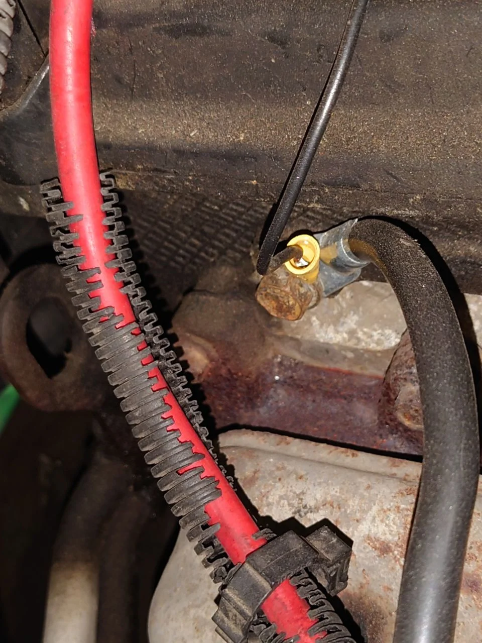 IMG_20250702_214936_881.webp