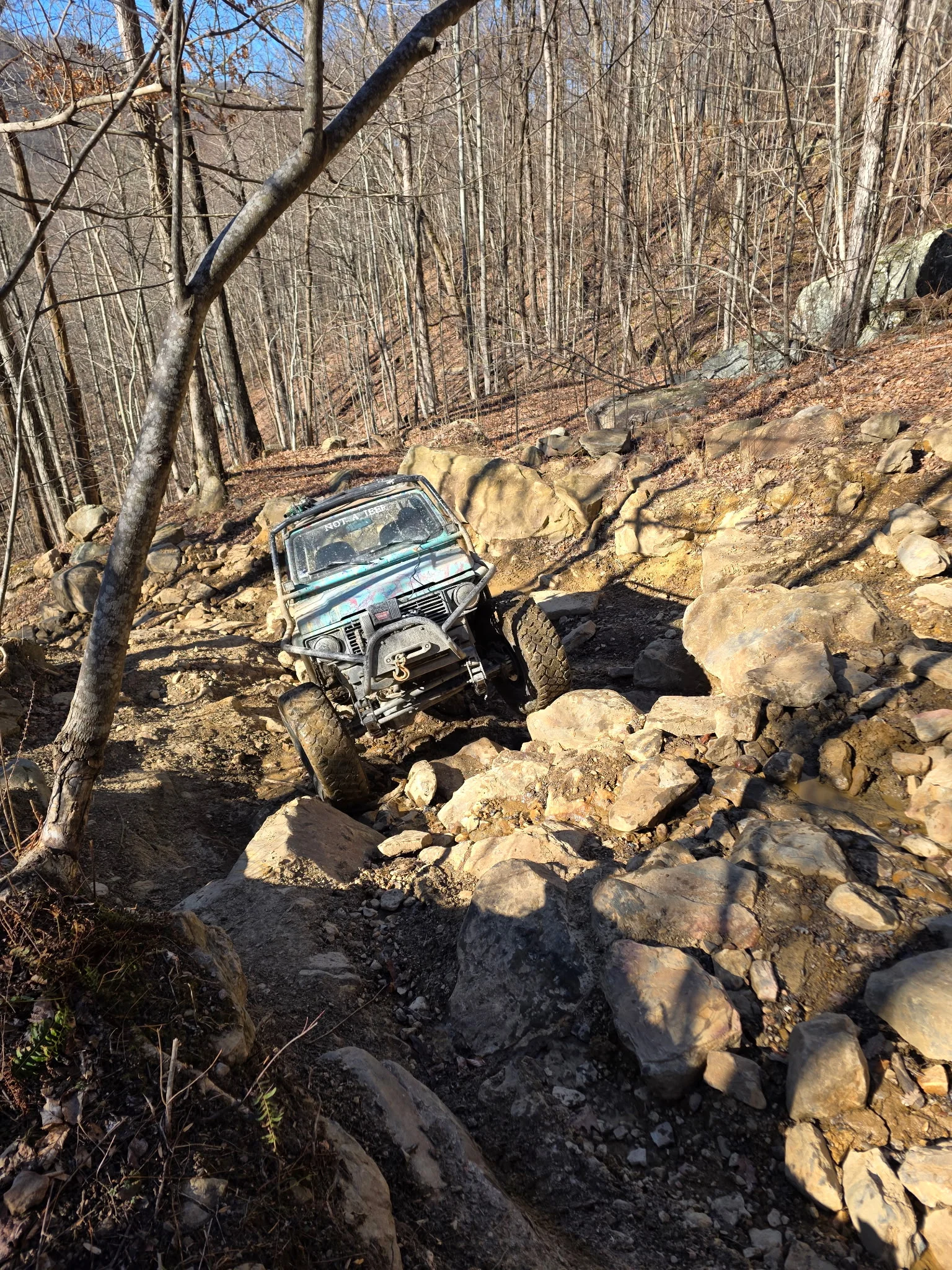 IMG_20260119_082529.webp