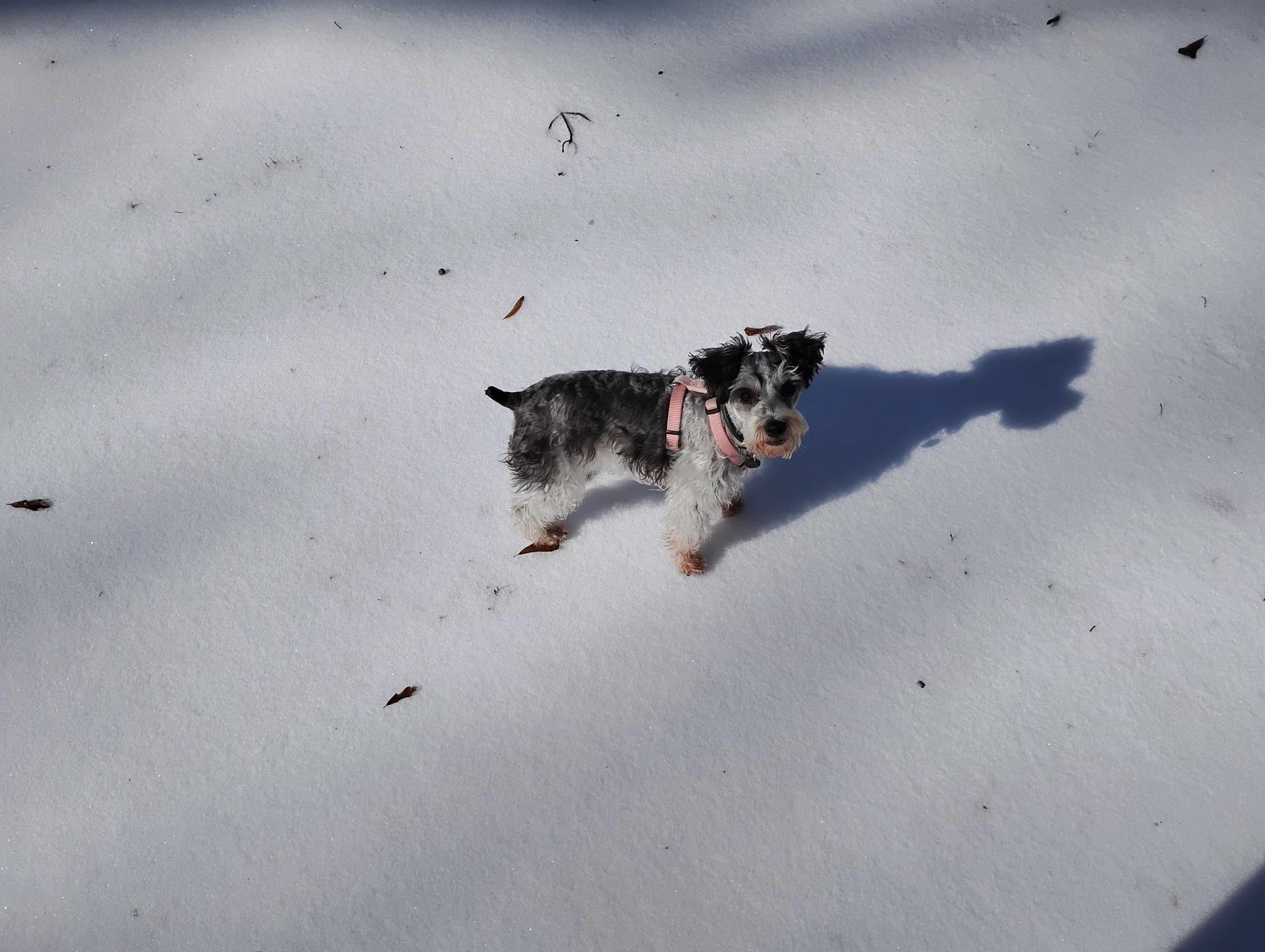 IMG_20260126_104416145.webp