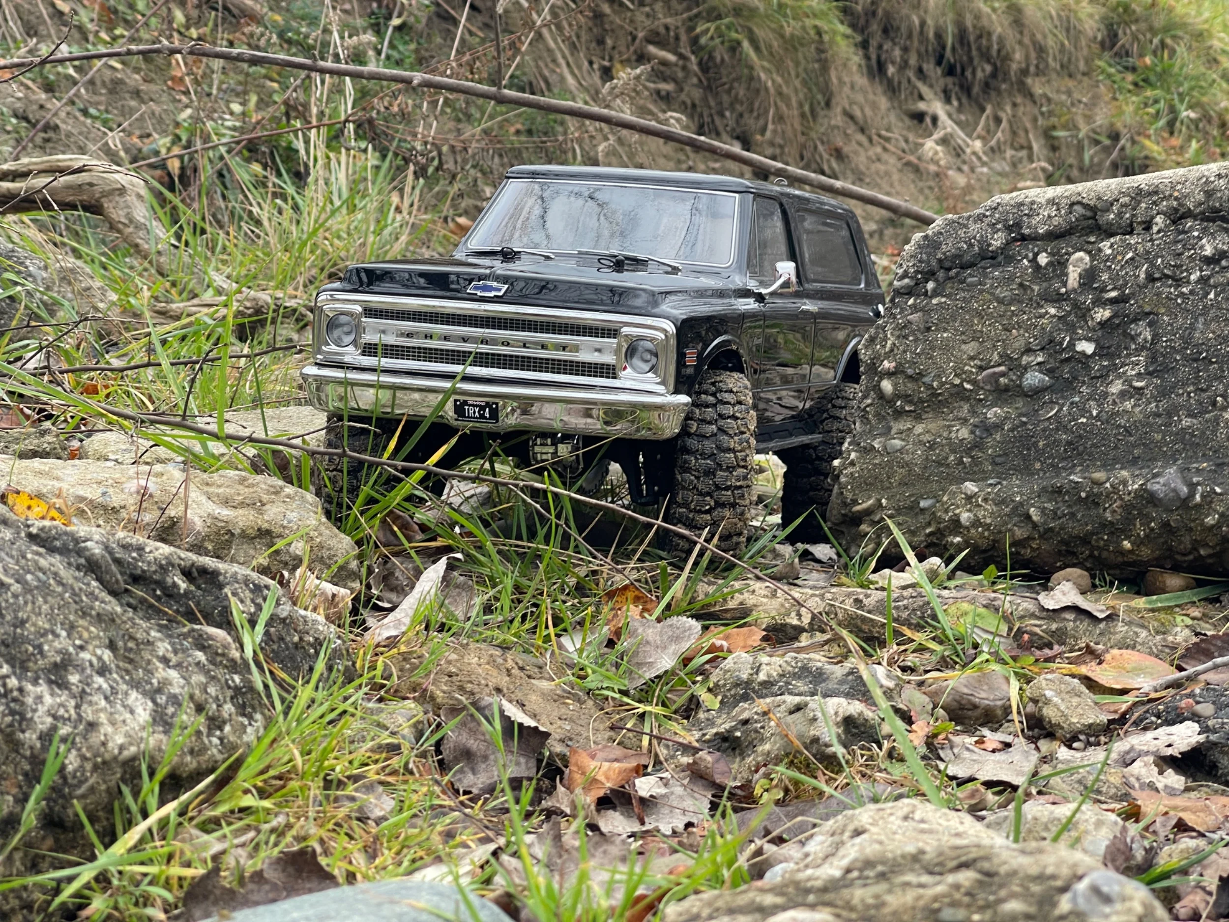 IMG_2042.webp