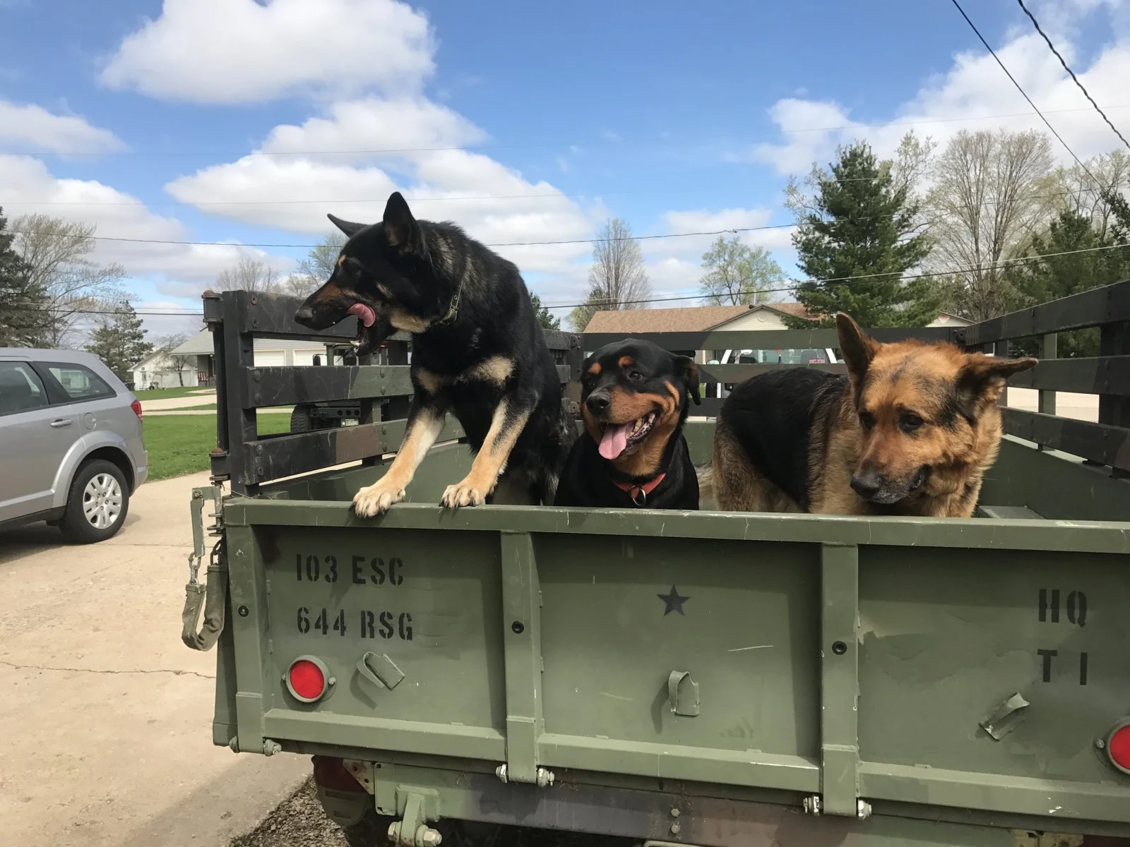 IMG_2275.webp