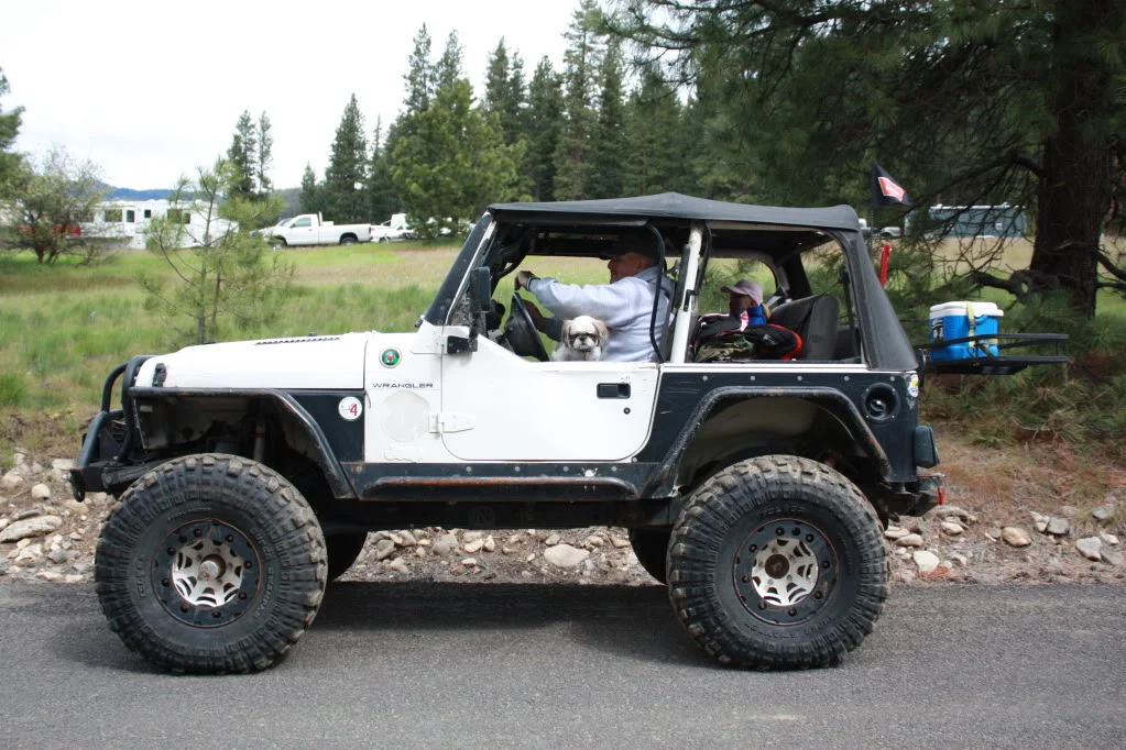 IMG_2747-1.webp