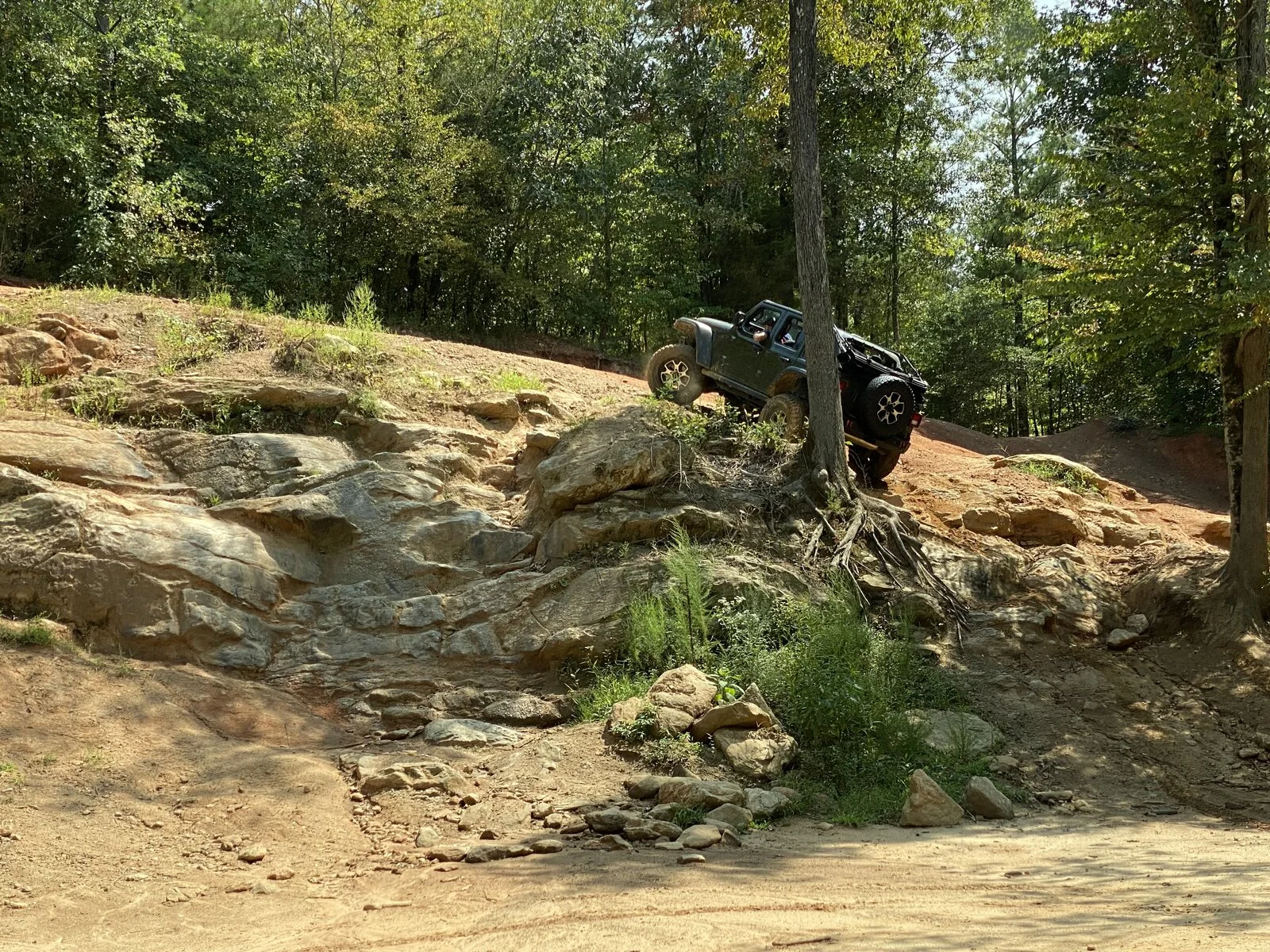 IMG_2767.webp