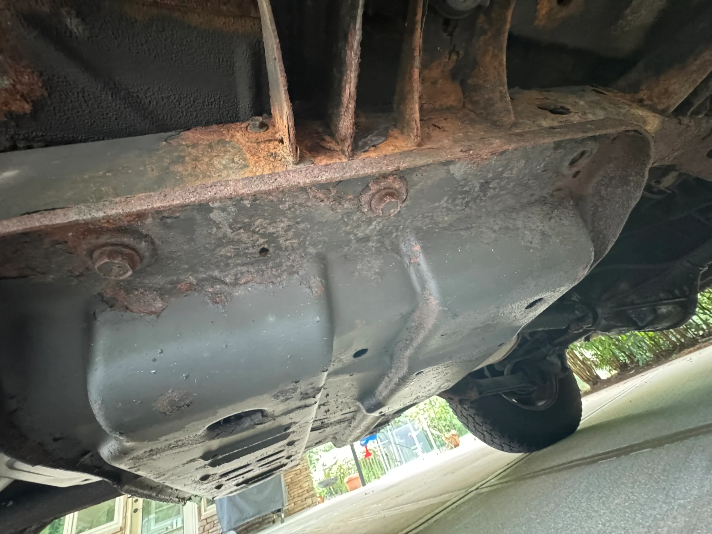 IMG_2797.webp