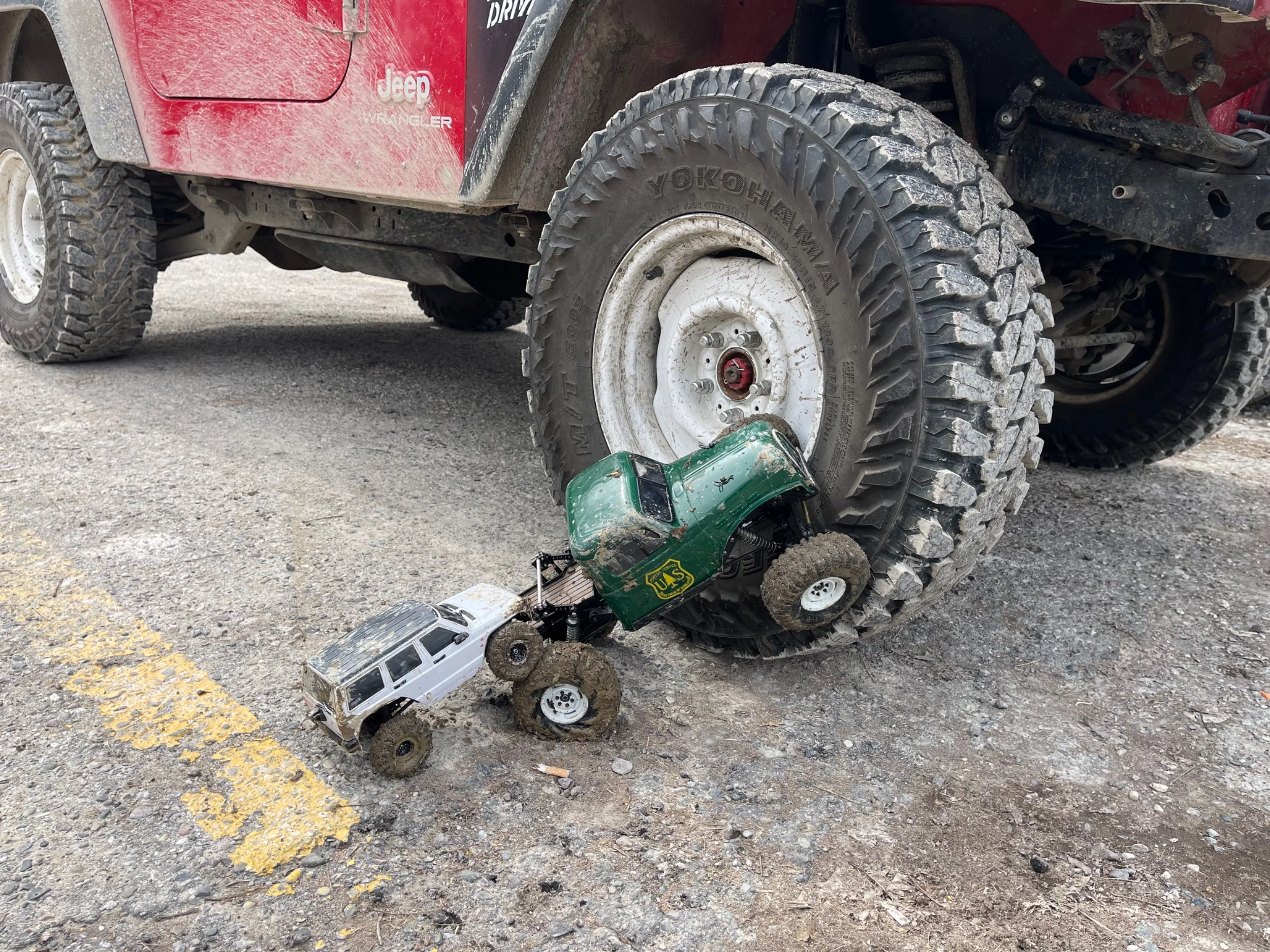 IMG_2933.webp