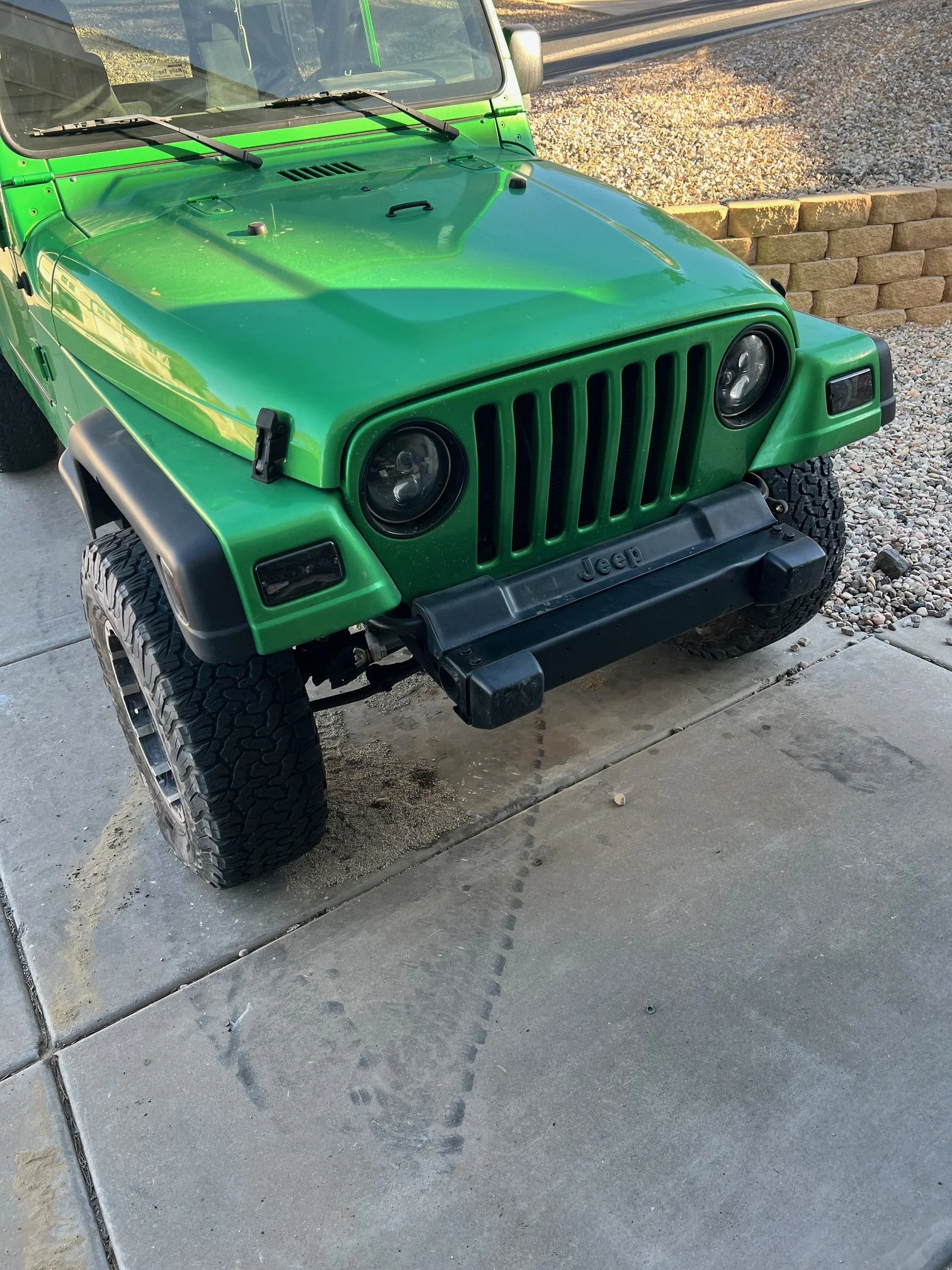 IMG_3066.jpeg