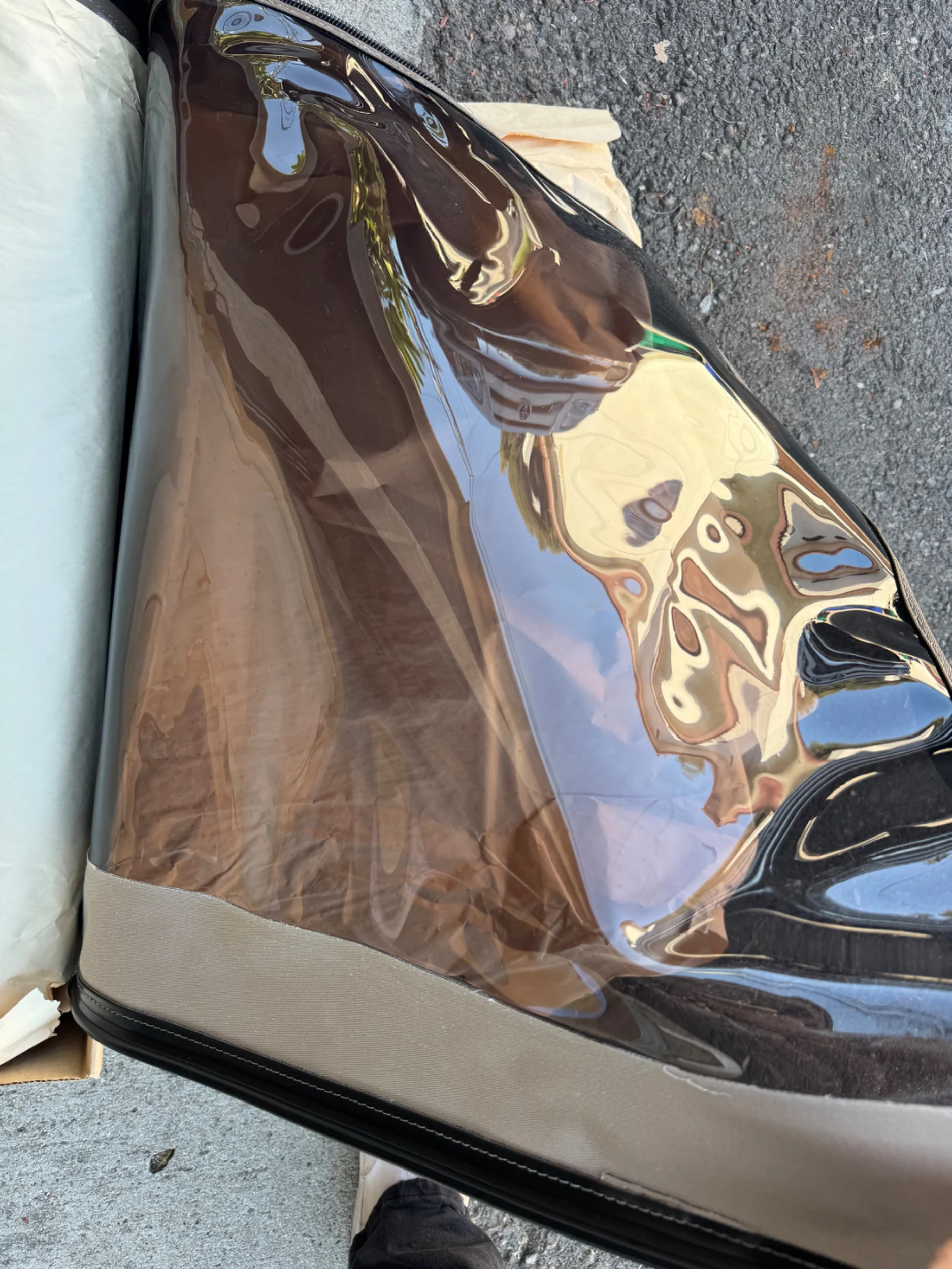 IMG_3156.jpeg