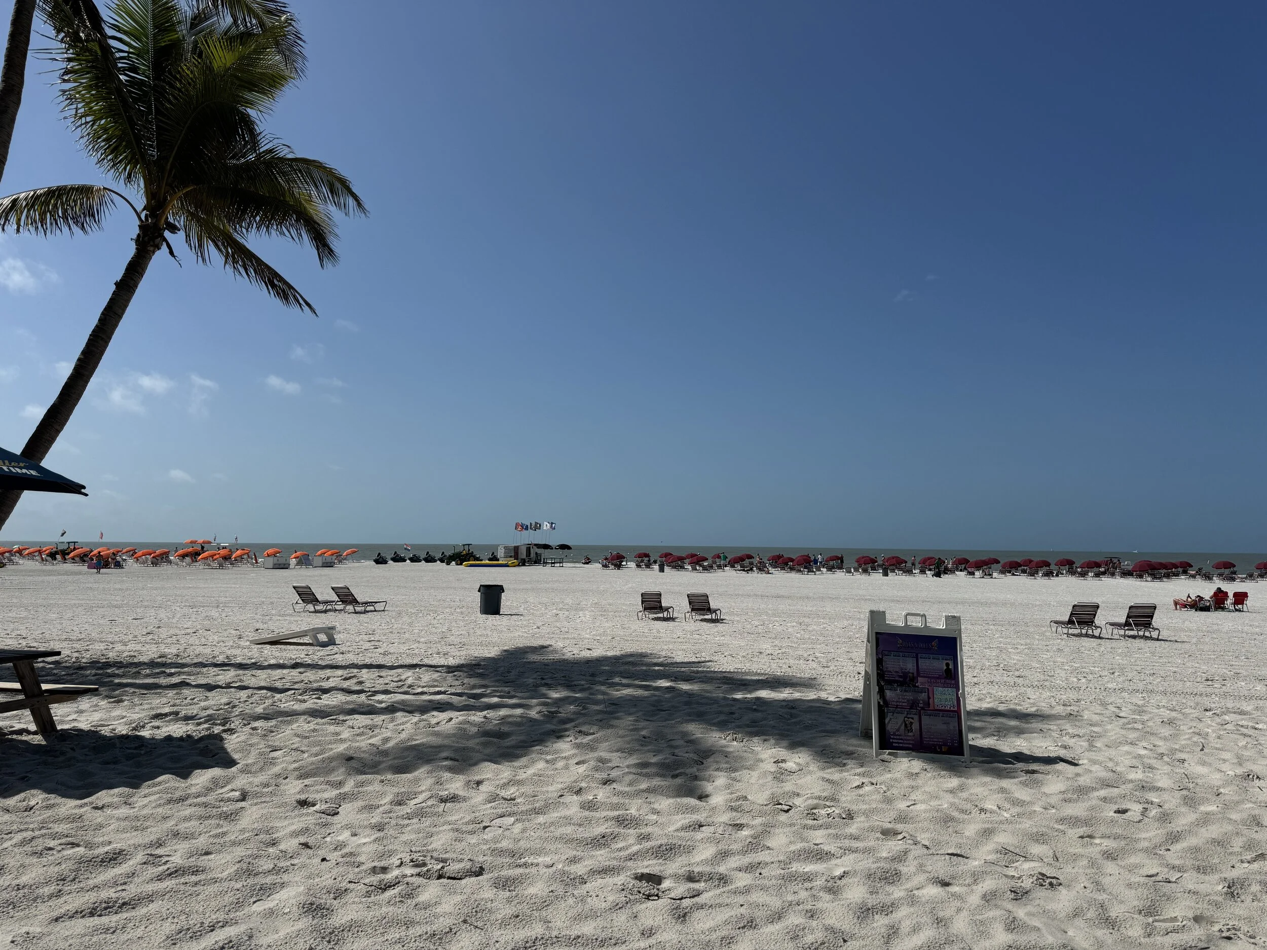 IMG_3177.webp