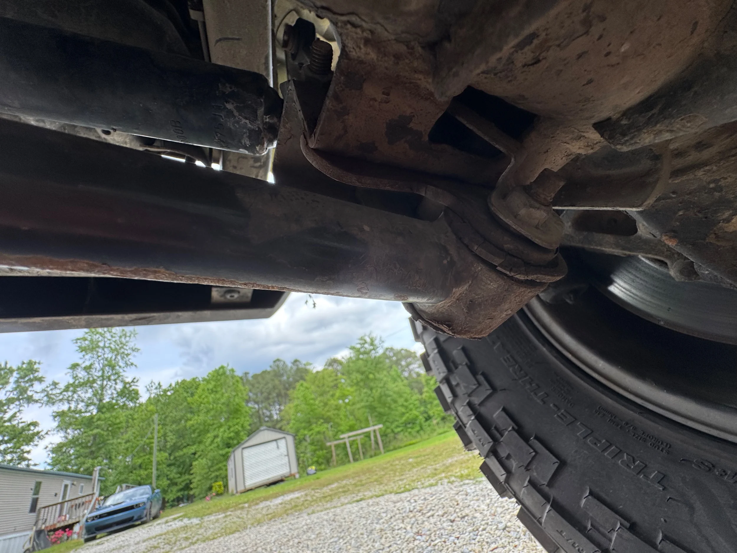 IMG_3279.webp