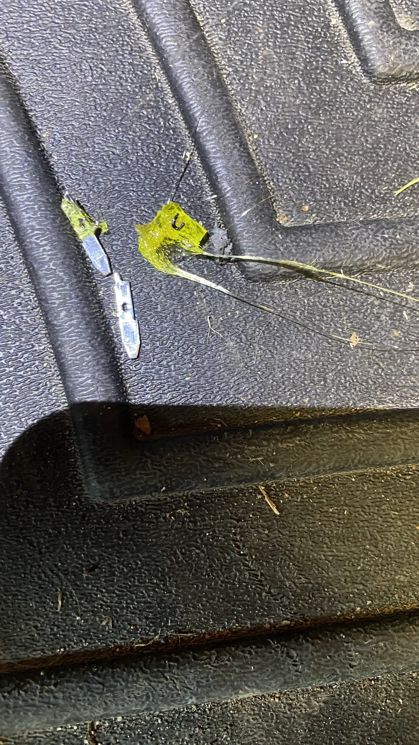 IMG_3328.jpeg
