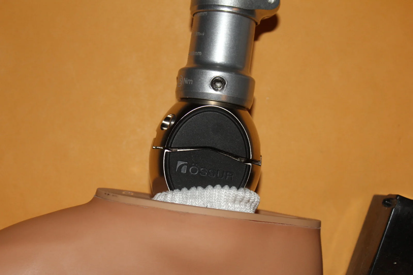 IMG_3577.webp