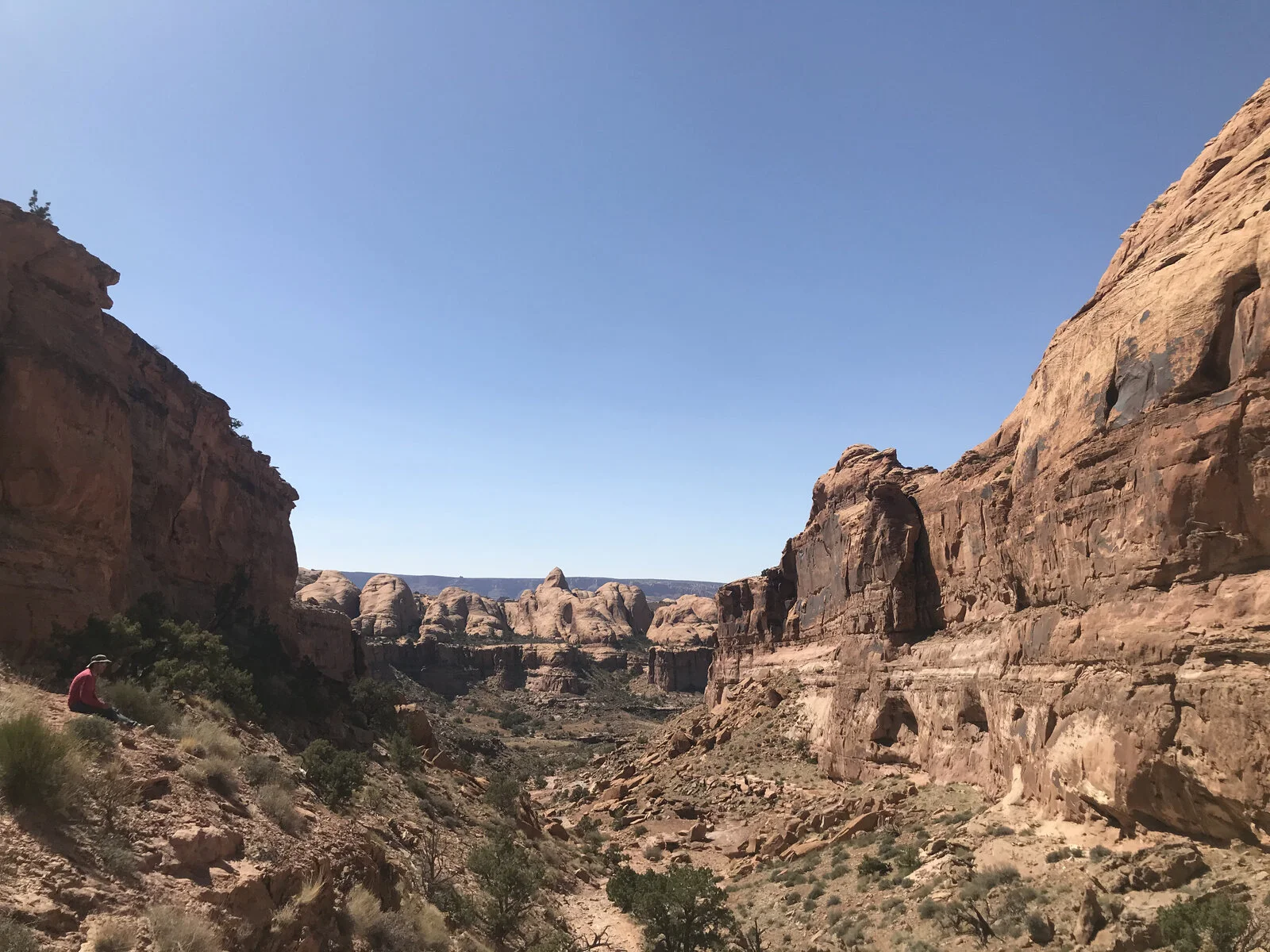 IMG_3741.jpeg