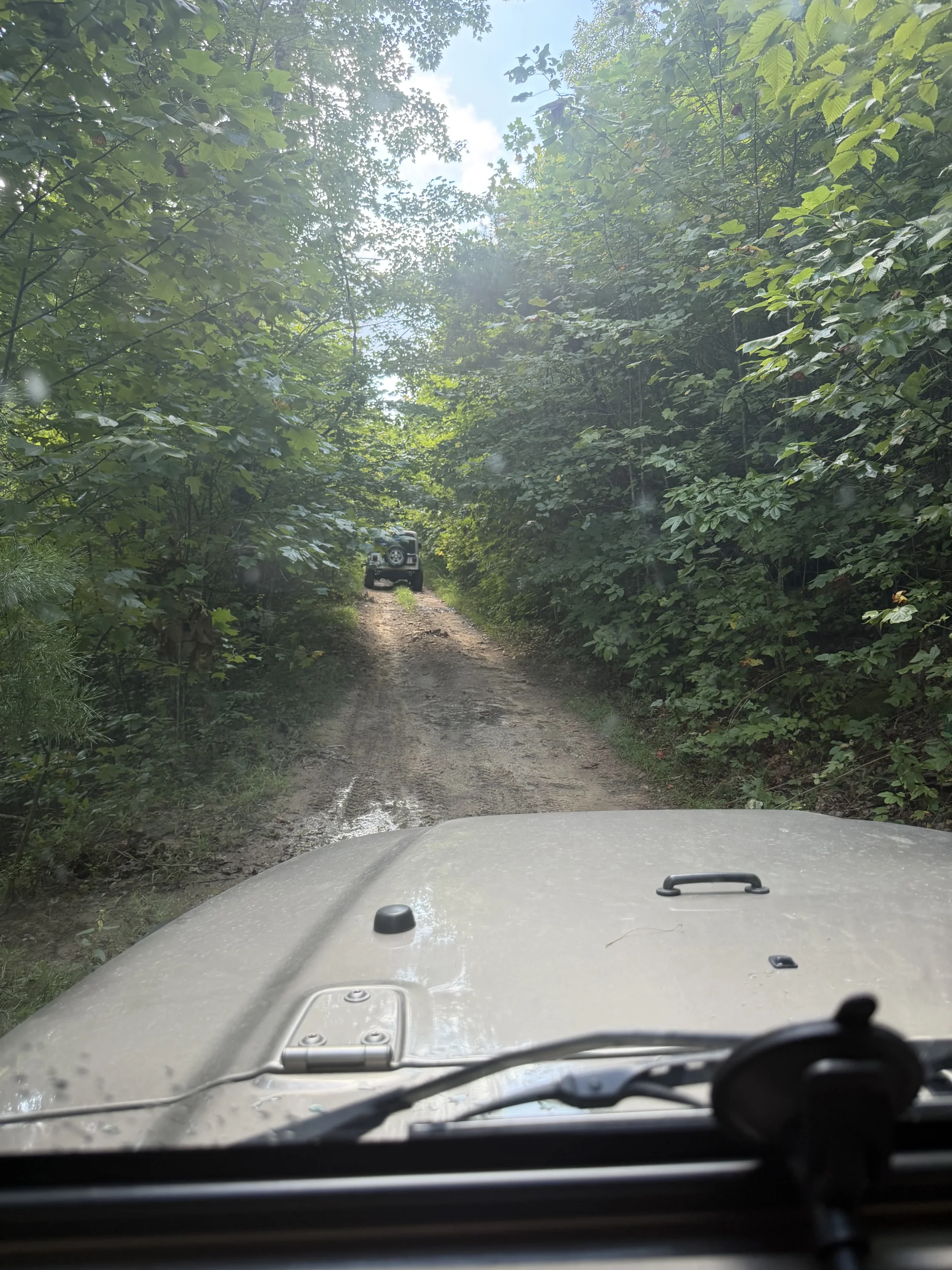 IMG_3847.webp