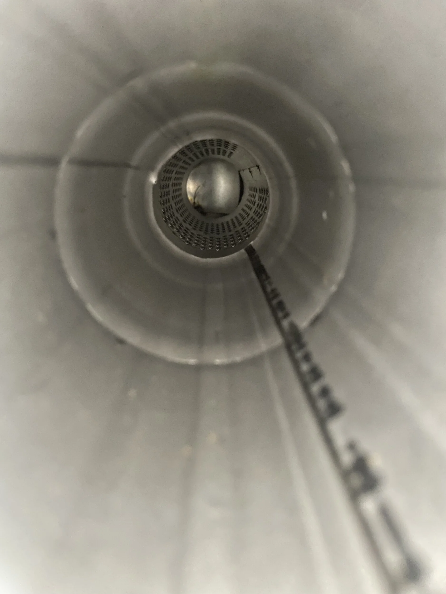 IMG_4431.jpeg