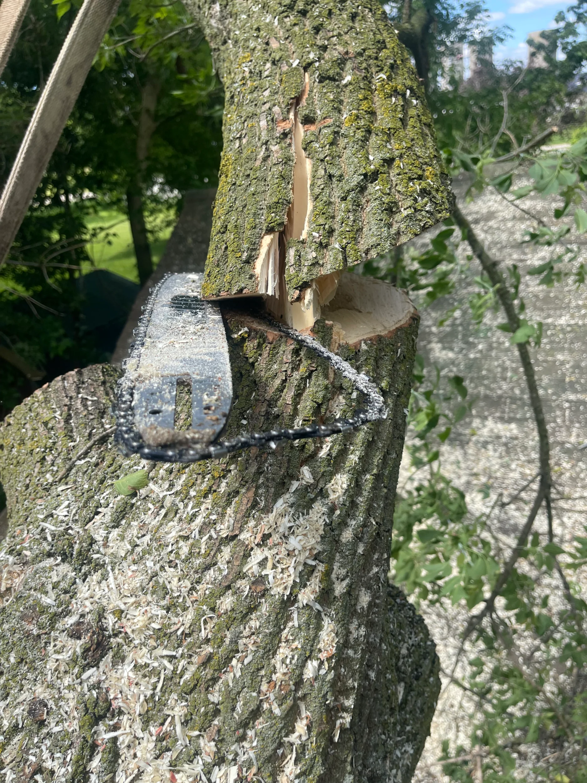 IMG_5130.webp