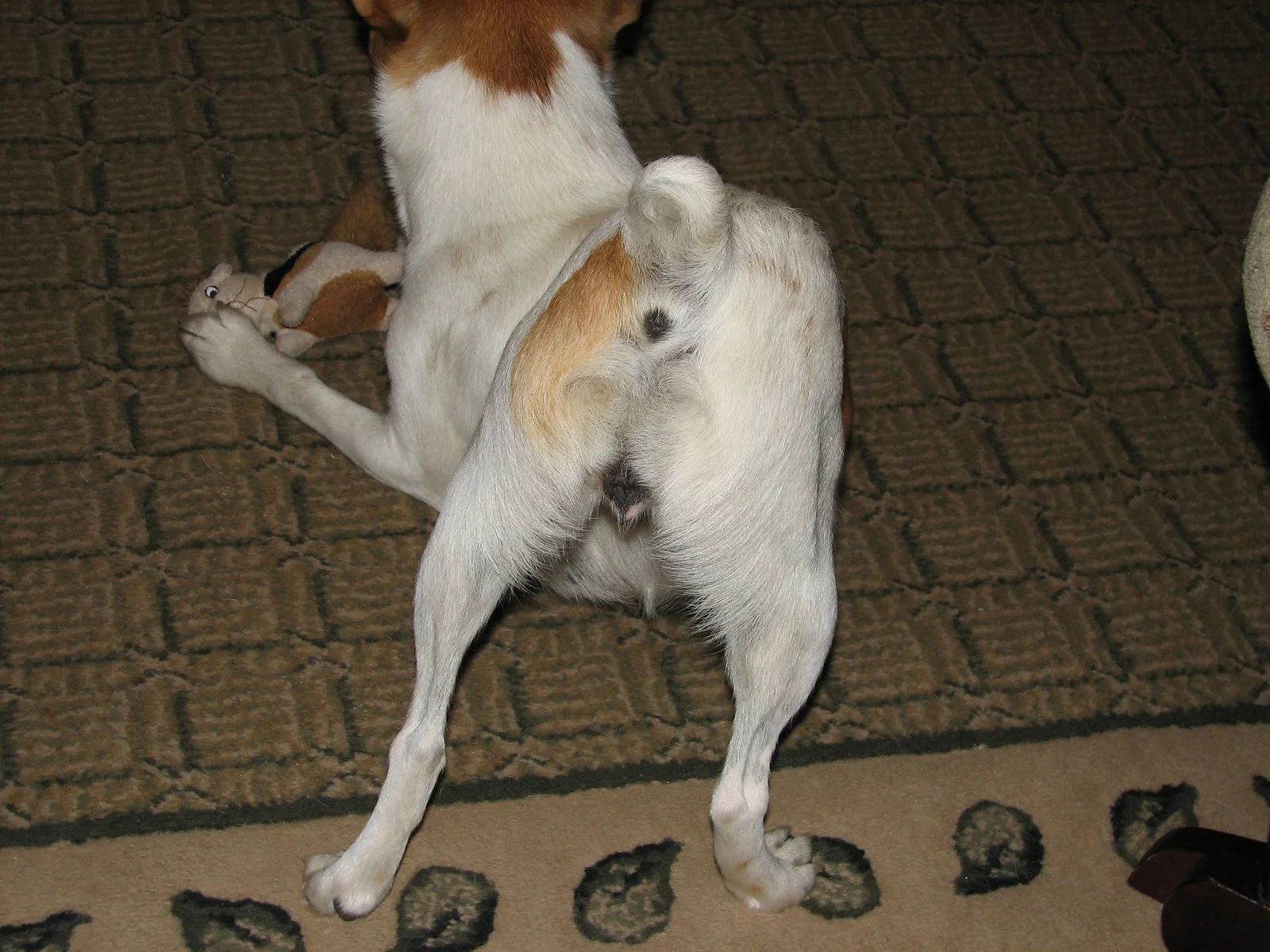 IMG_5230-X3.jpg