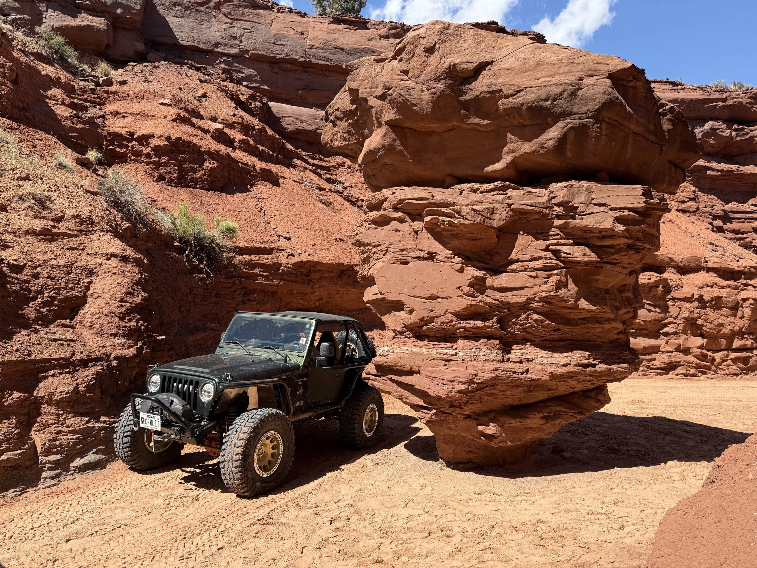 IMG_5354.webp
