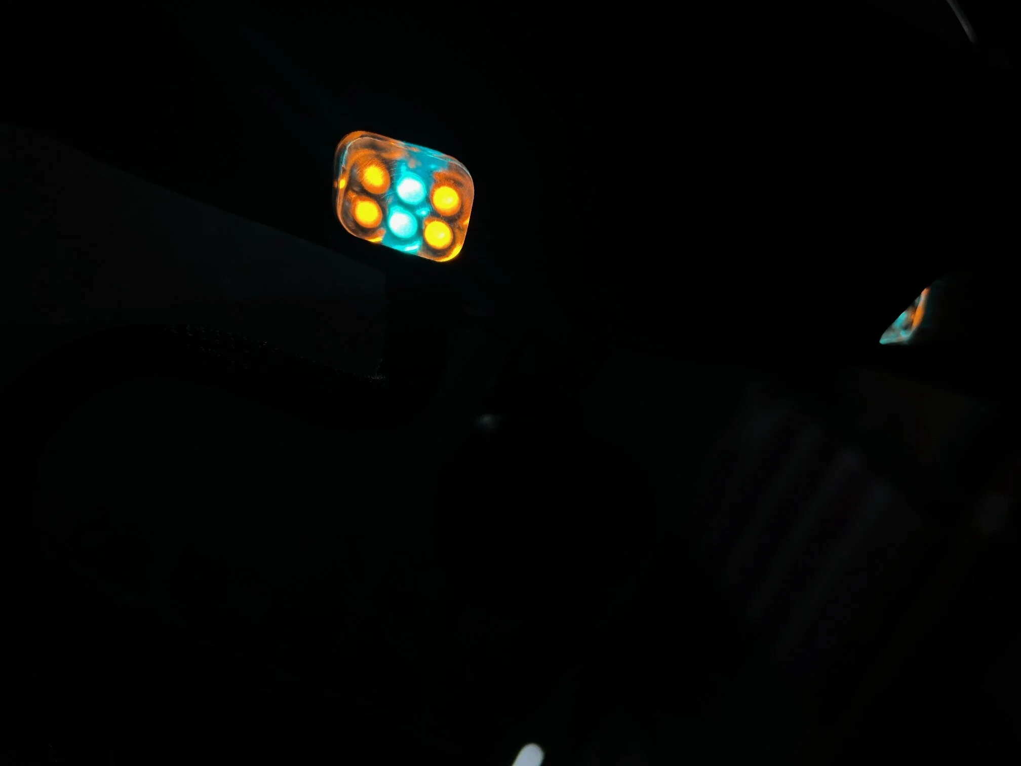 IMG_5658.webp