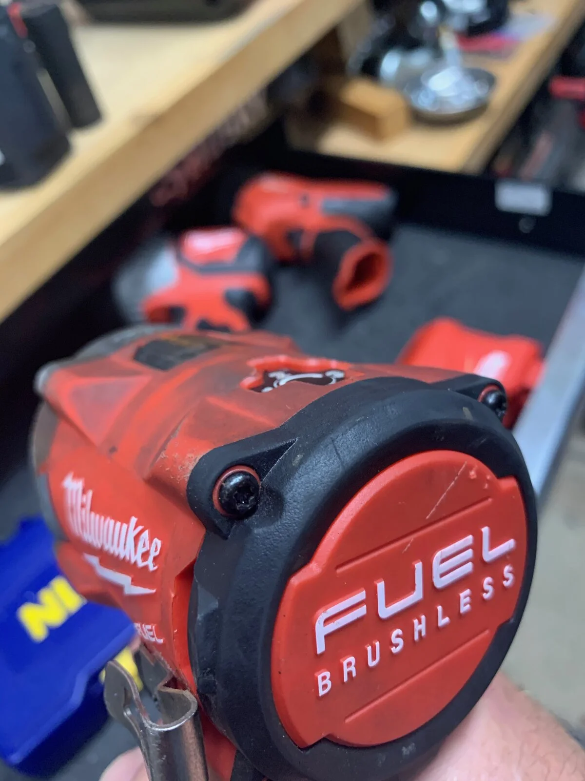 IMG_5777.webp