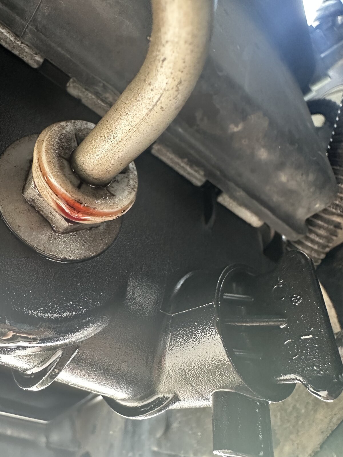 Oil Cooler line and what else leaking?