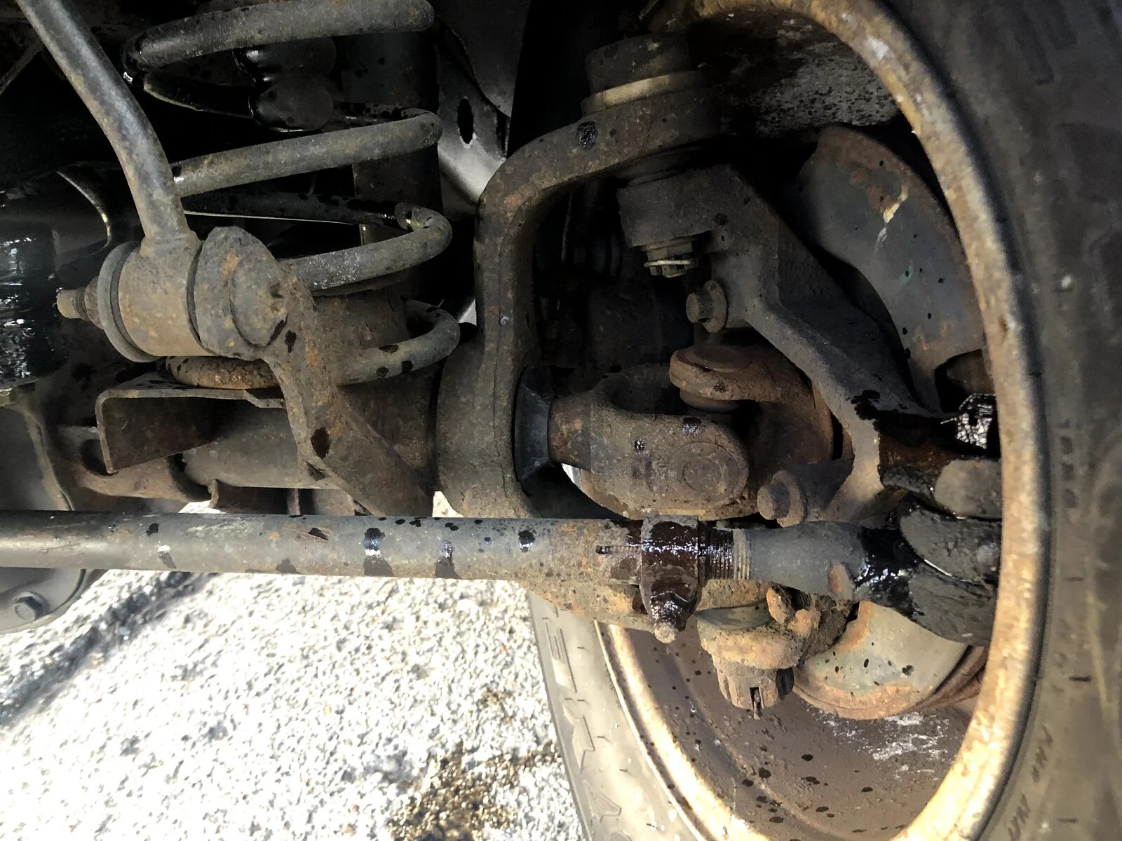 IMG_5974.webp