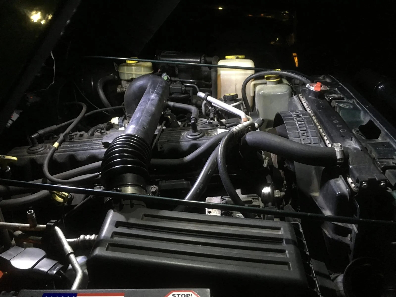 IMG_6877.webp