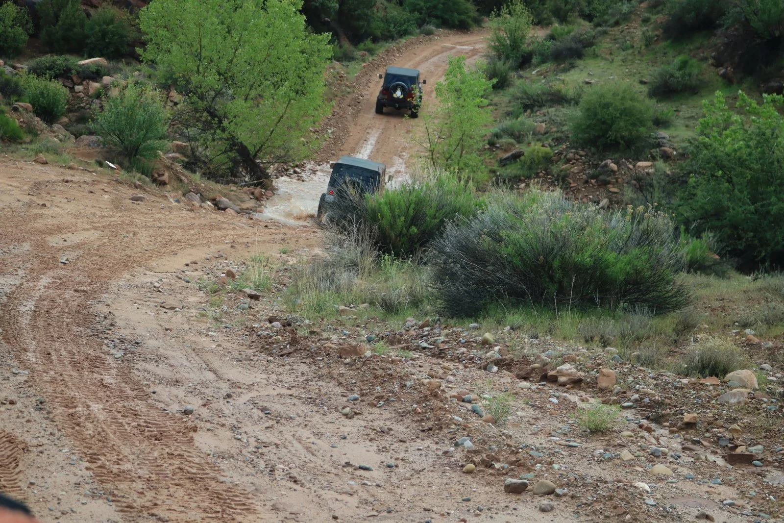 IMG_8075.jpg