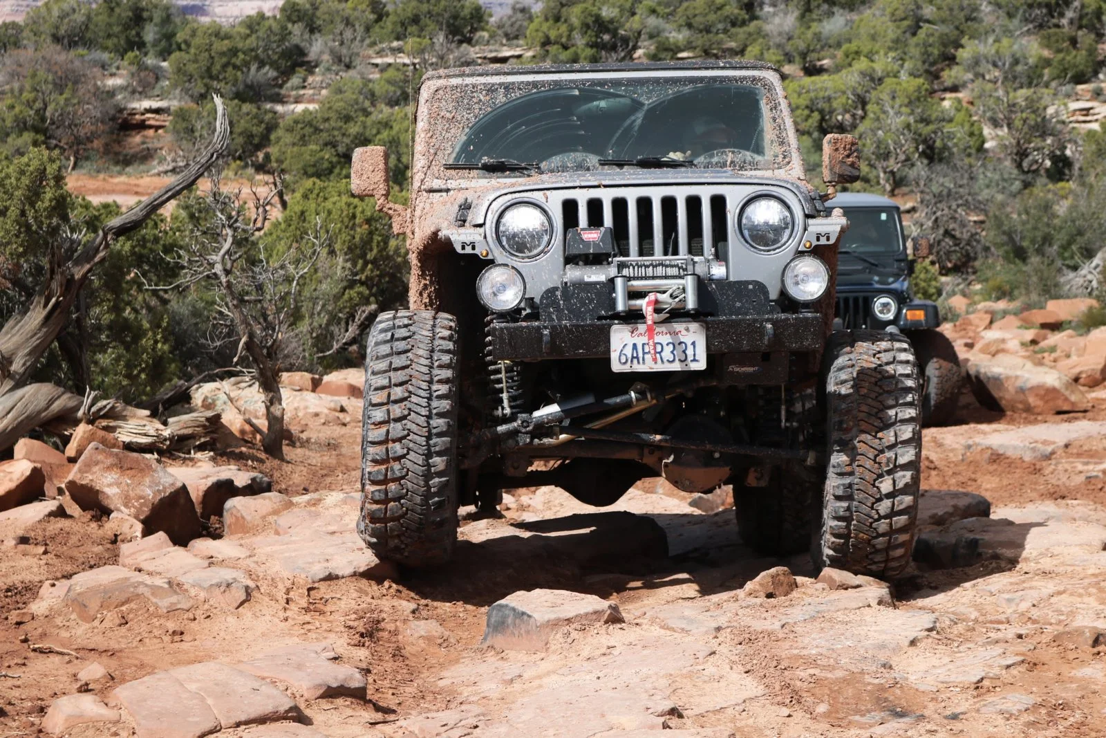 IMG_8259.jpg